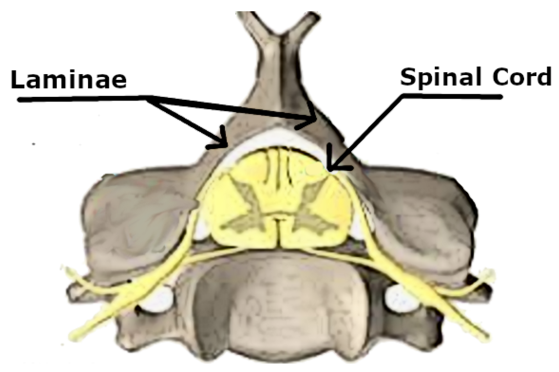 Applsci 10 01370 g002