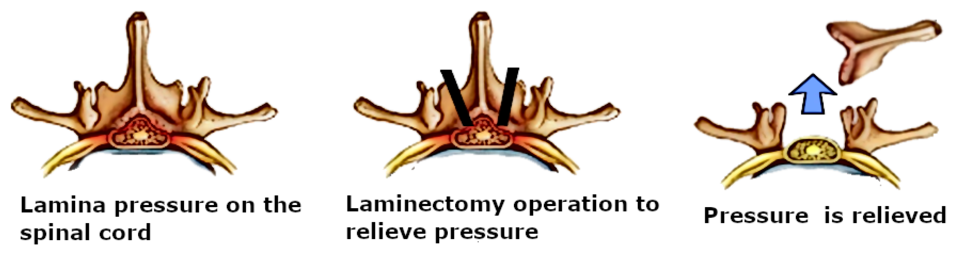 Applsci 10 01370 g003