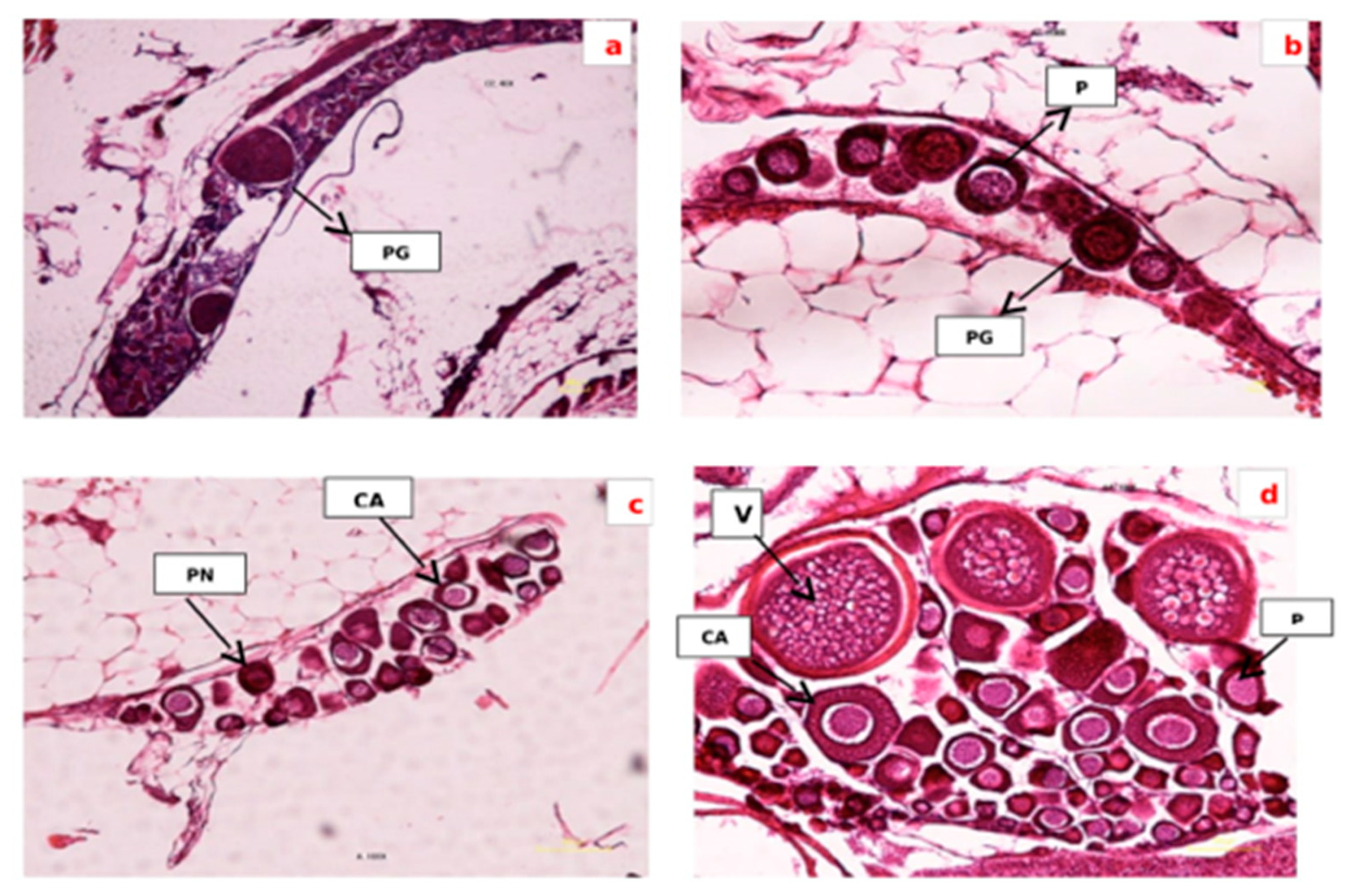 Applsci 10 01402 g001 Applsci 10 01402 g001