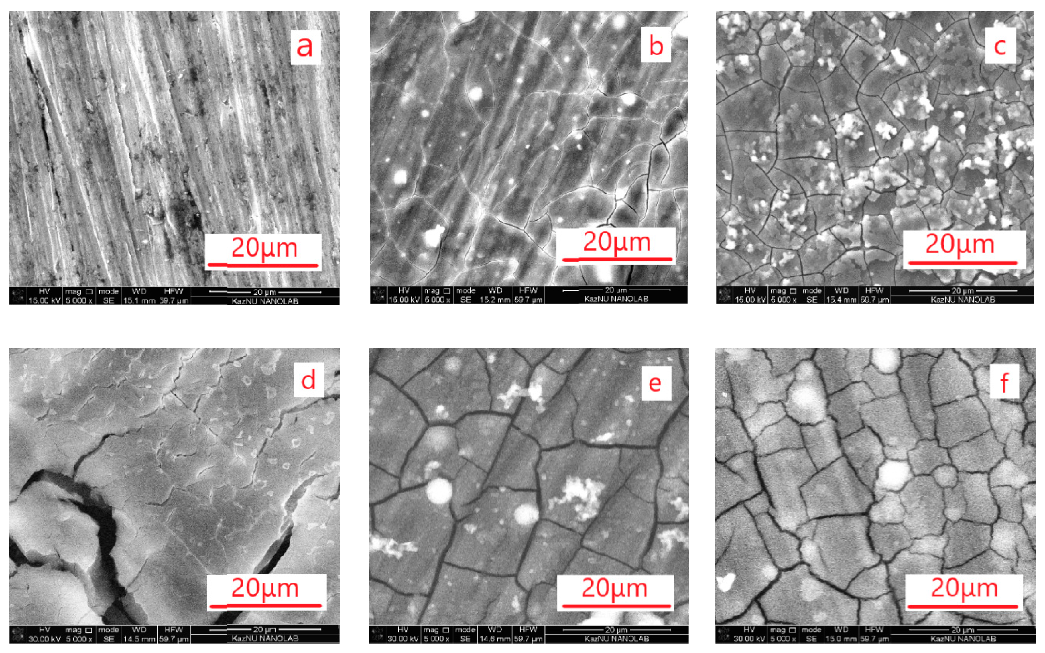 Applsci 10 01406 g001