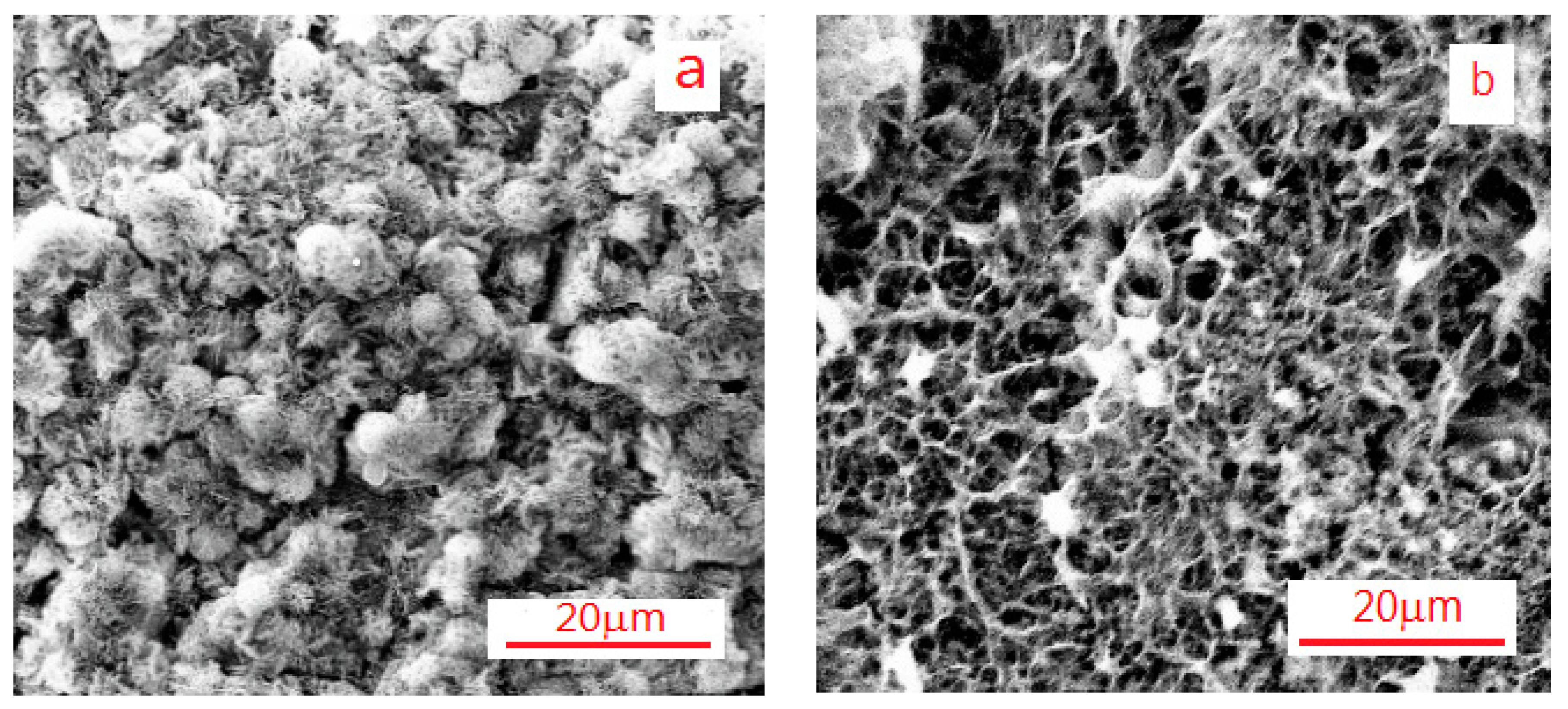 Applsci 10 01406 g002