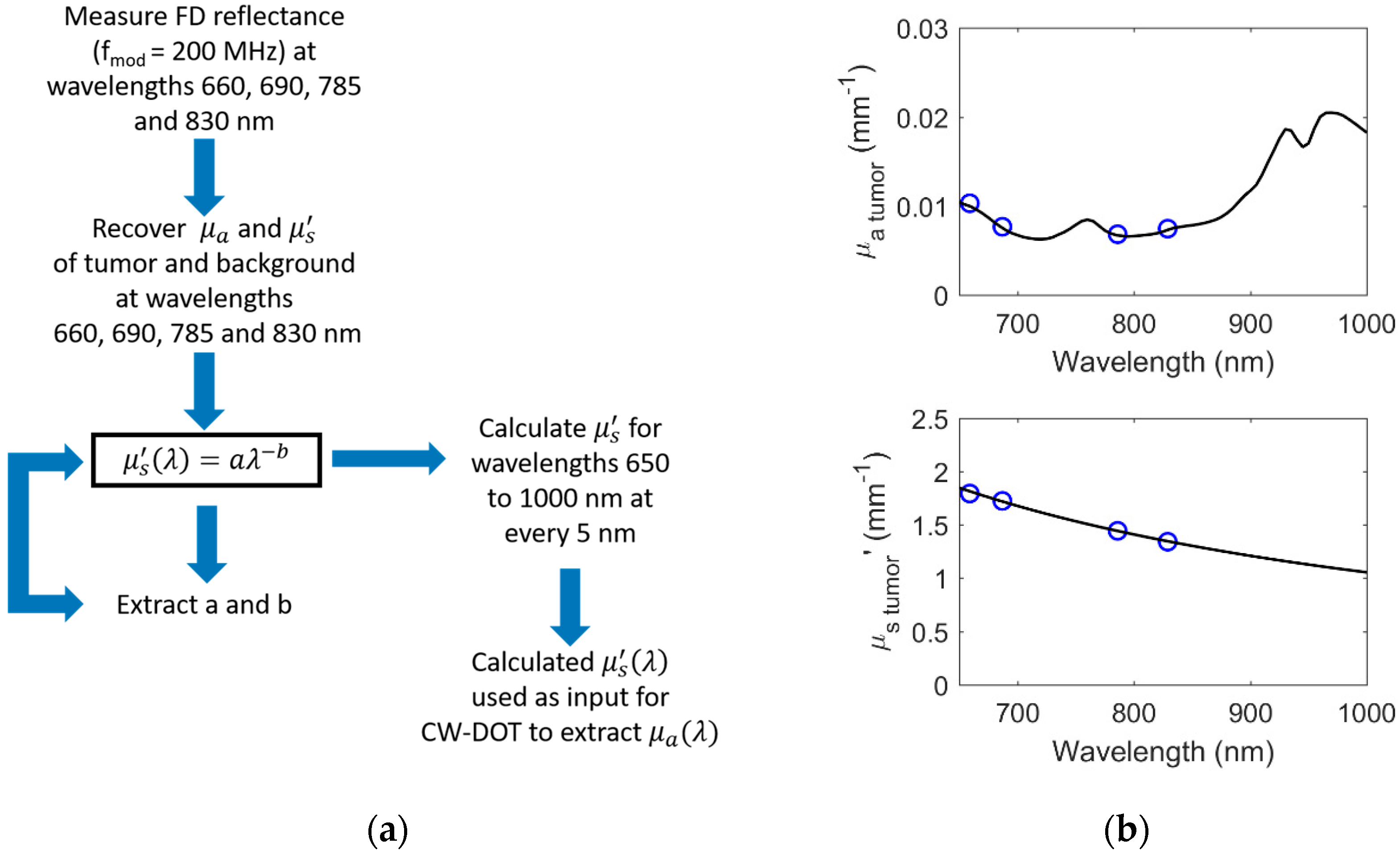 Applsci 10 01419 g001 Applsci 10 01419 g001
