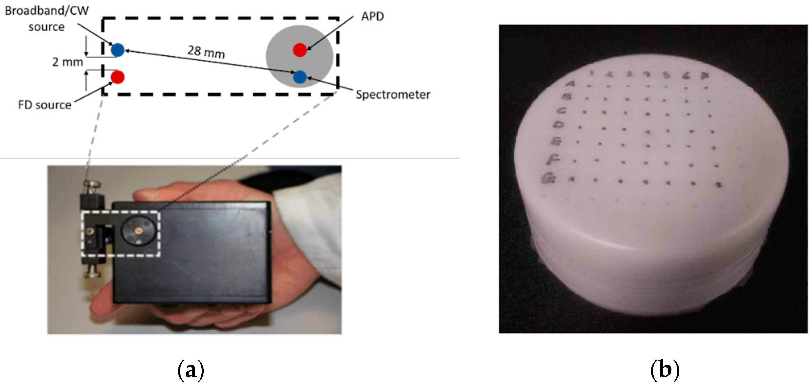 Applsci 10 01419 g005 Applsci 10 01419 g005
