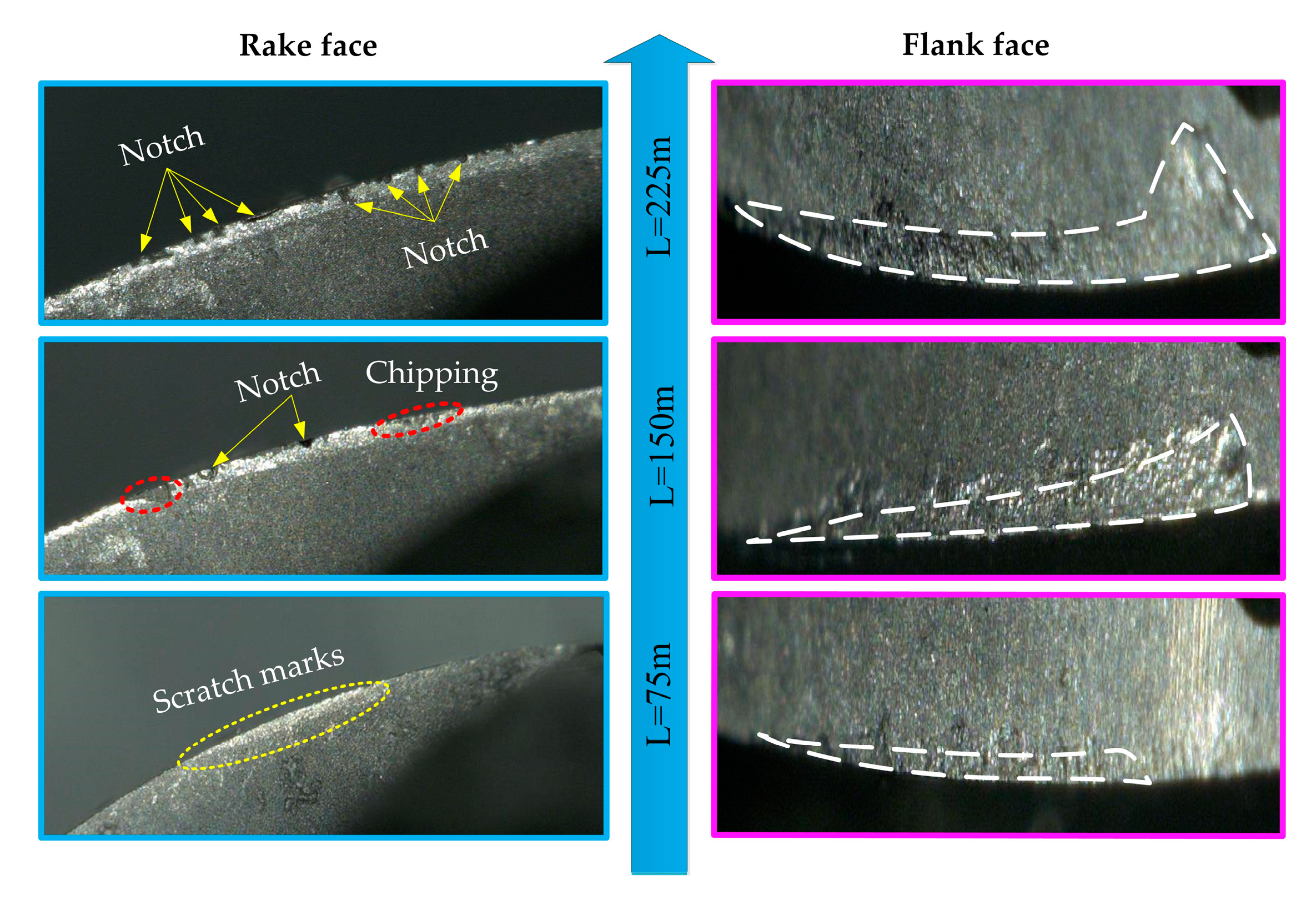 Applsci 10 01423 g007 Applsci 10 01423 g007