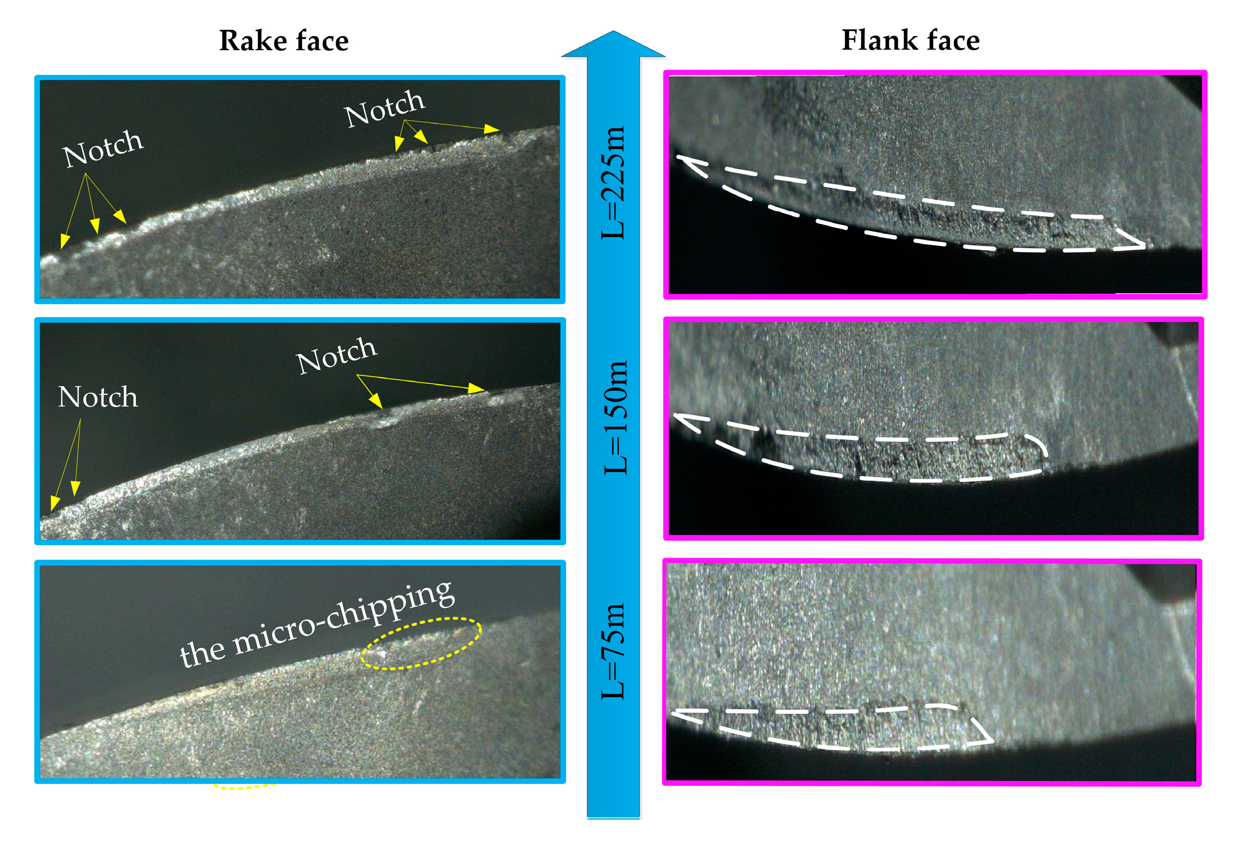 Applsci 10 01423 g008 Applsci 10 01423 g008