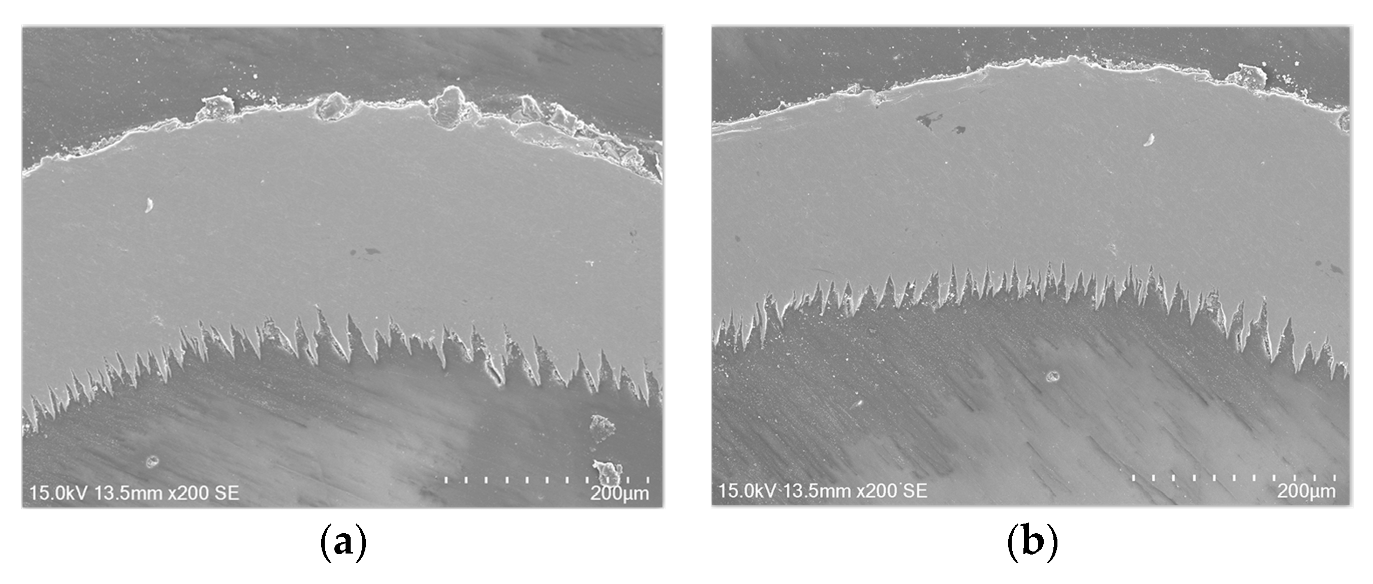Applsci 10 01423 g013 Applsci 10 01423 g013