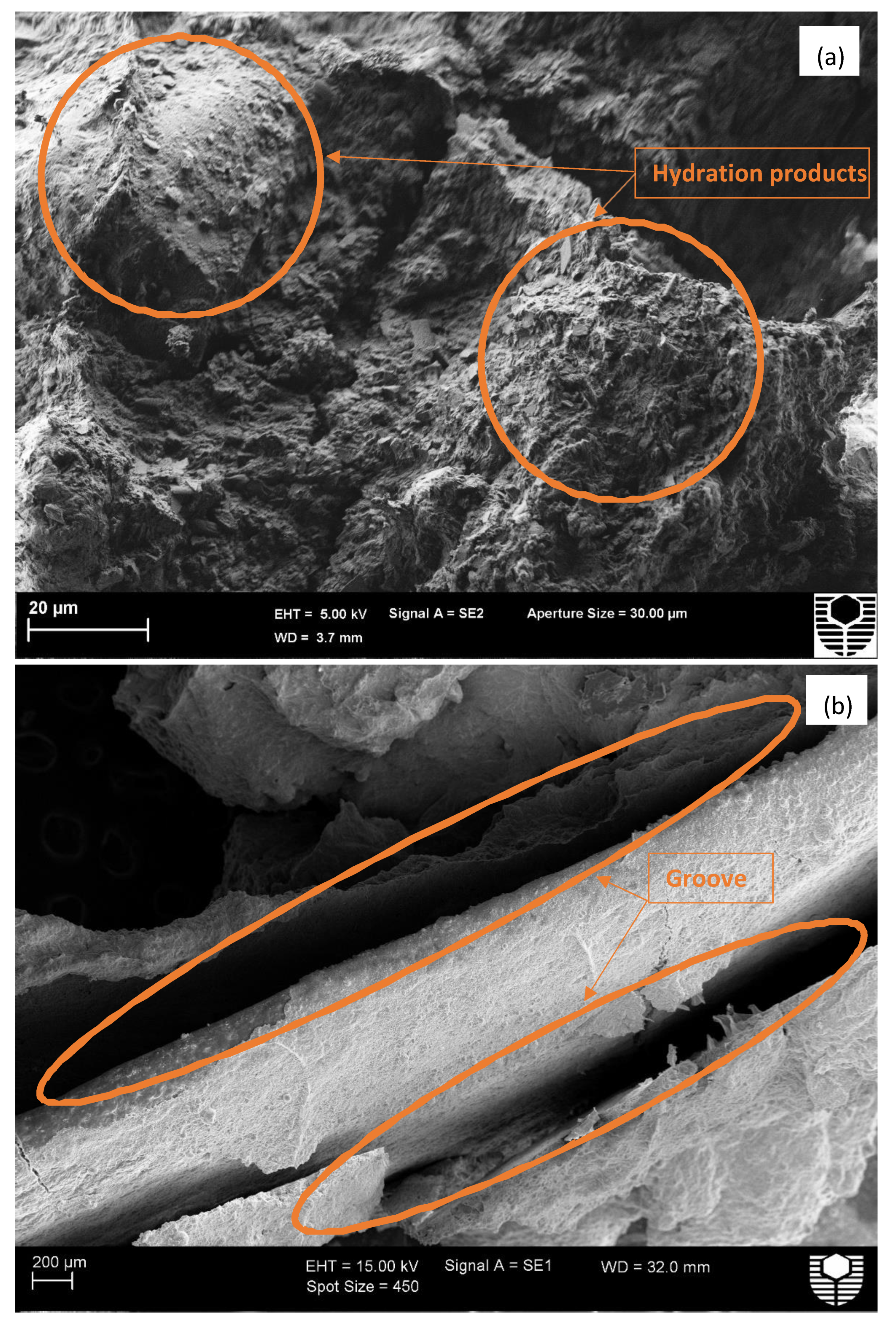 Applsci 10 01441 g013