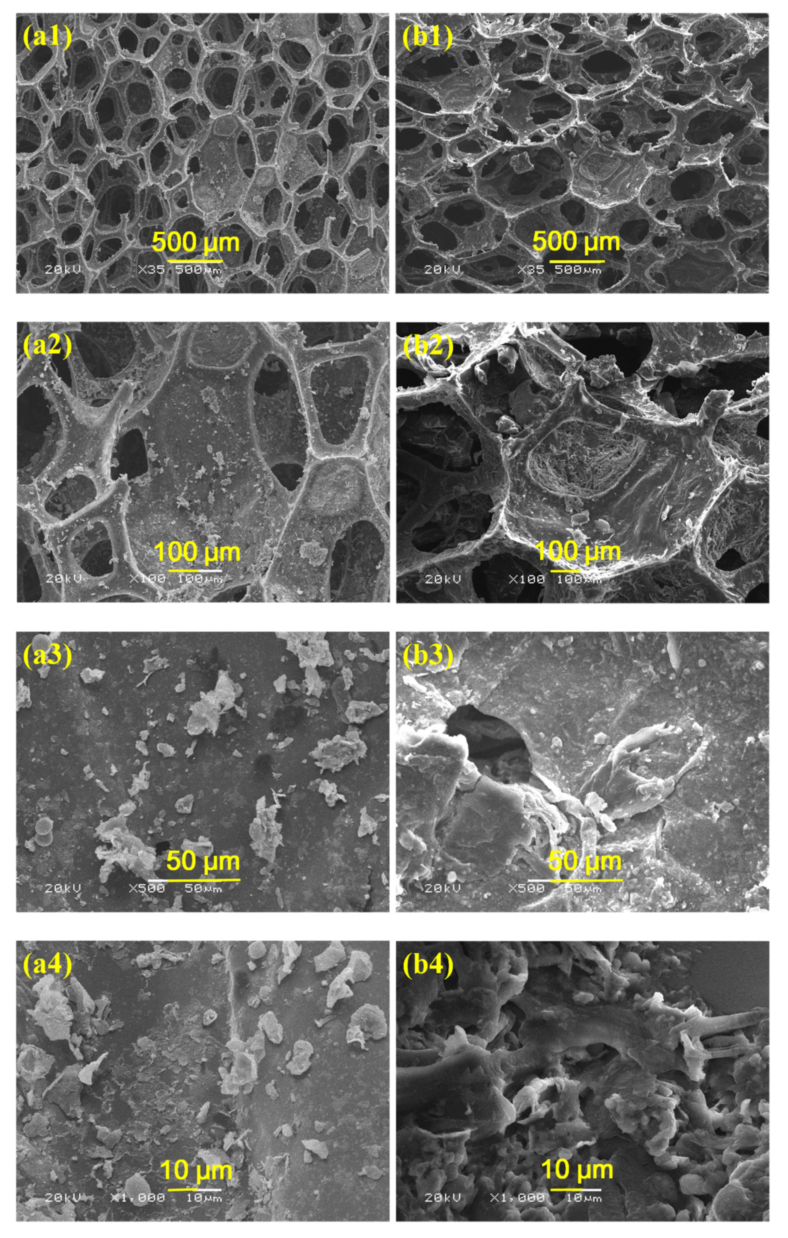 Applsci 10 01453 g006