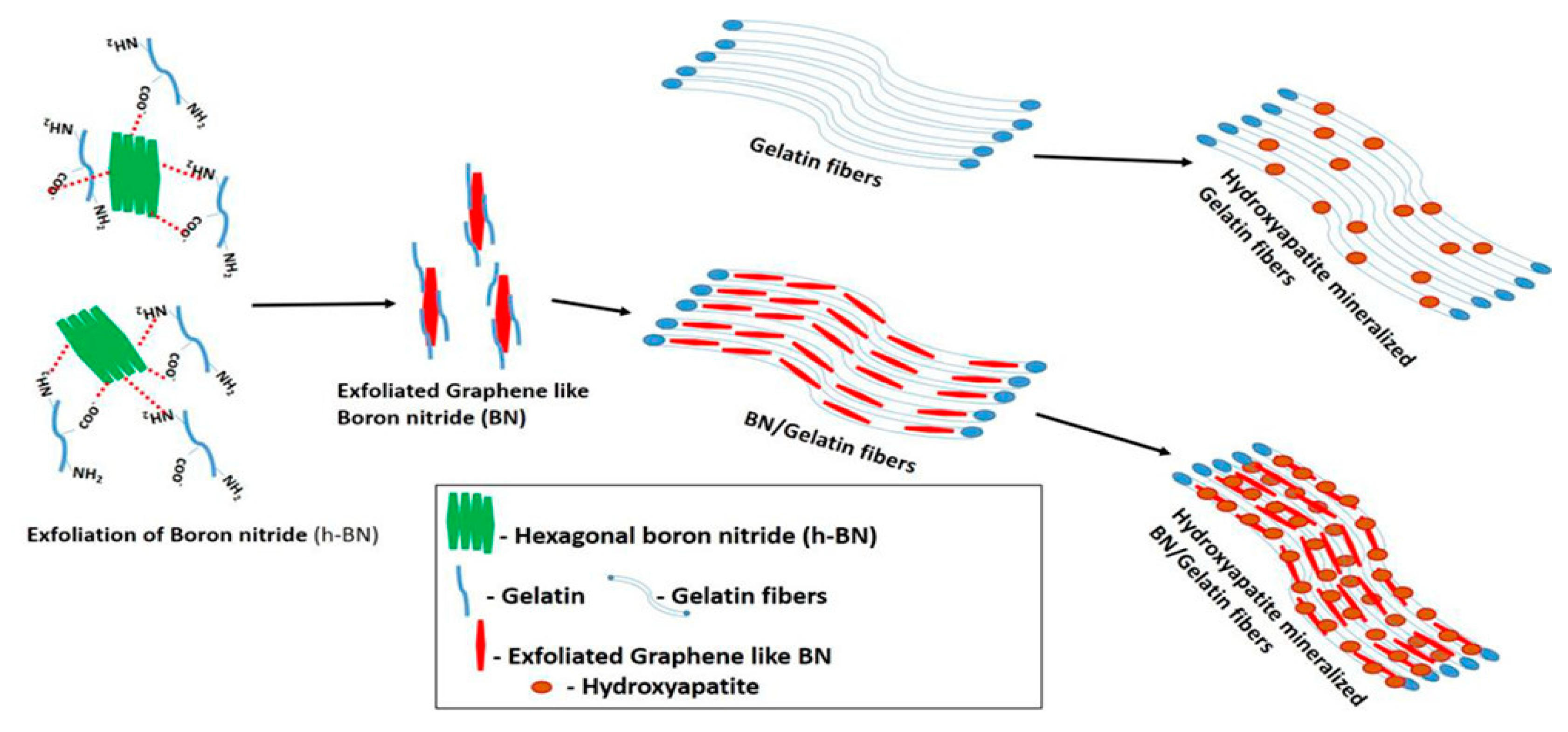 Applsci 10 01458 g003 Applsci 10 01458 g003