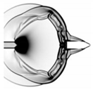 Applsci 10 01468 i004