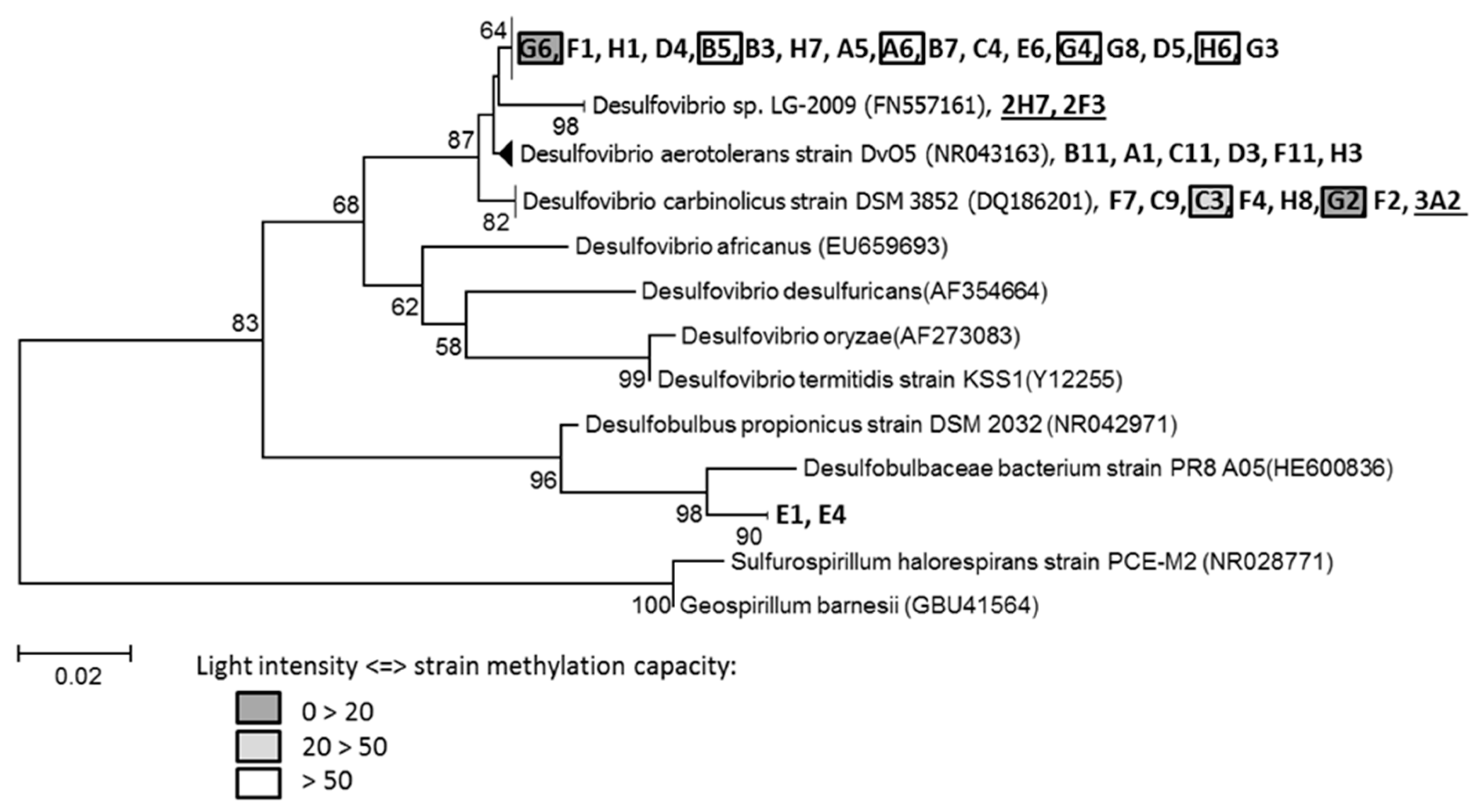 Applsci 10 01500 g005