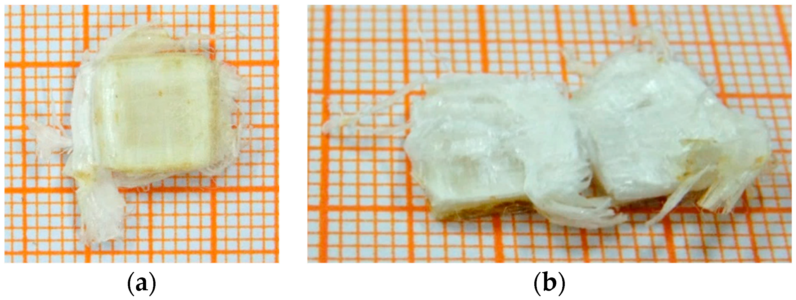 Applsci 10 01505 g006