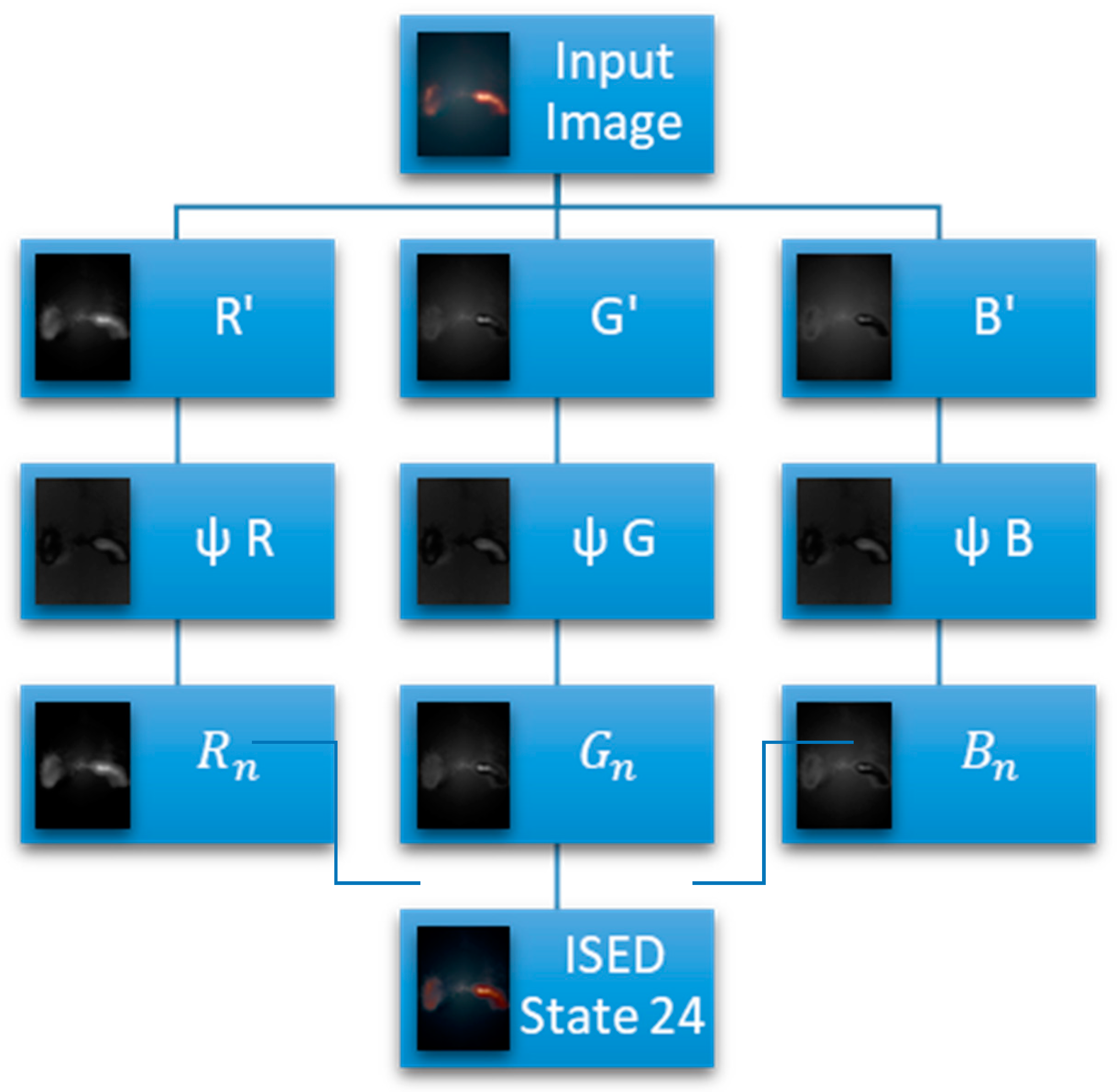 Applsci 10 01535 g001 Applsci 10 01535 g001