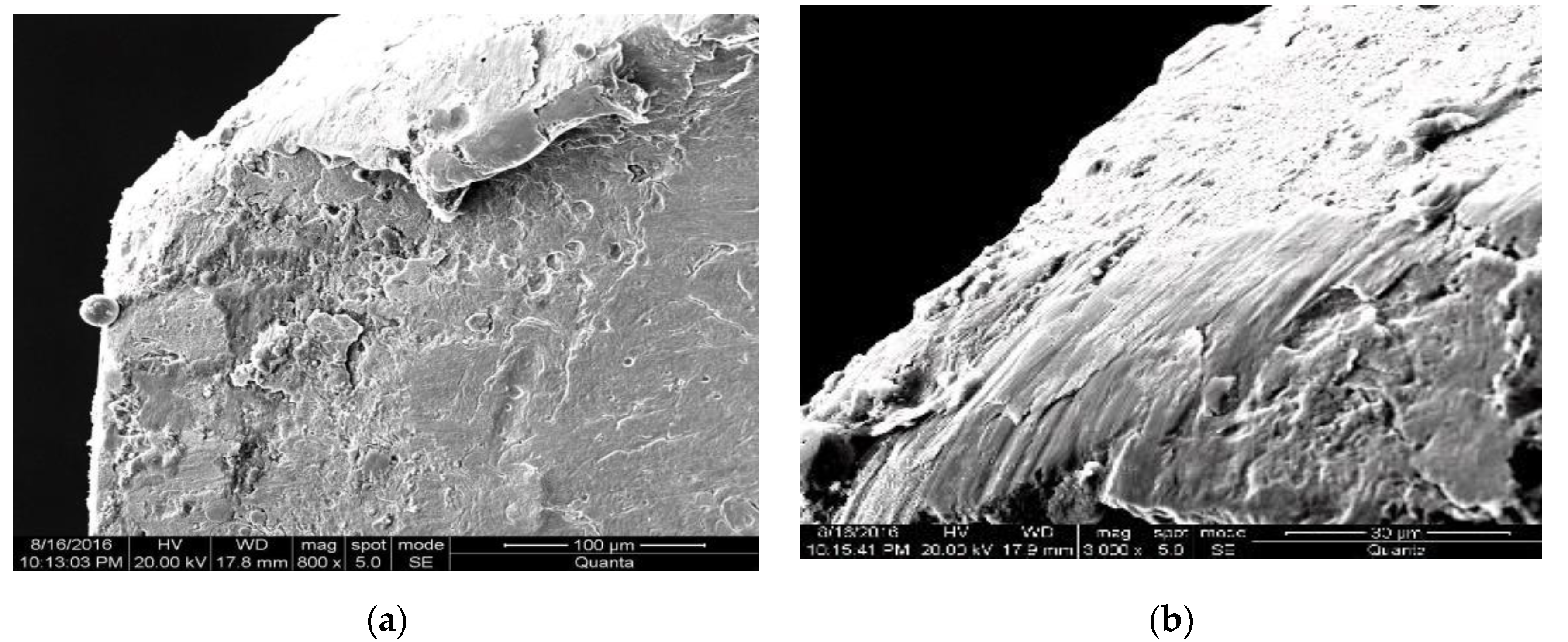 Applsci 10 01537 g002