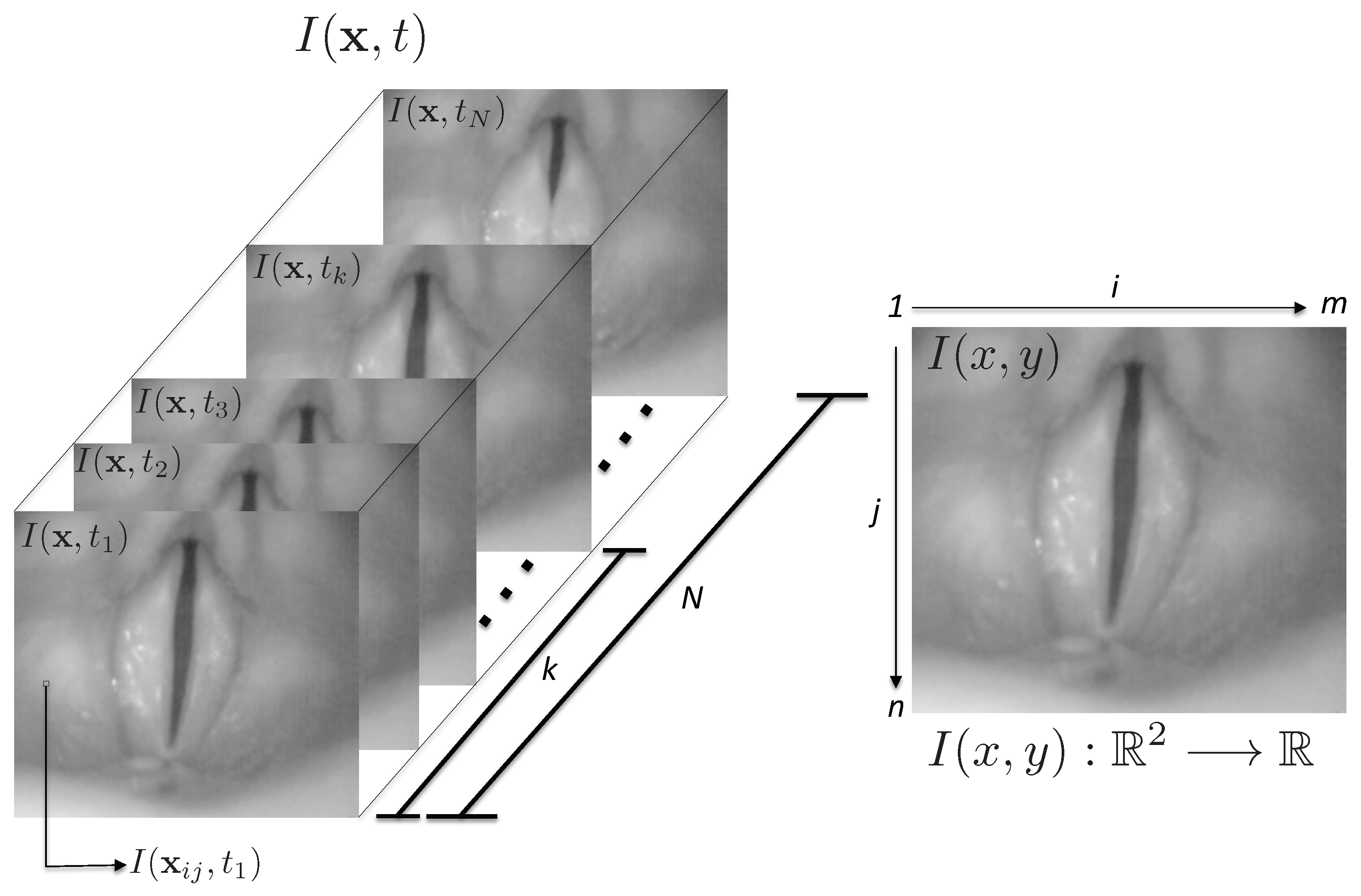 Applsci 10 01556 g005 Applsci 10 01556 g005