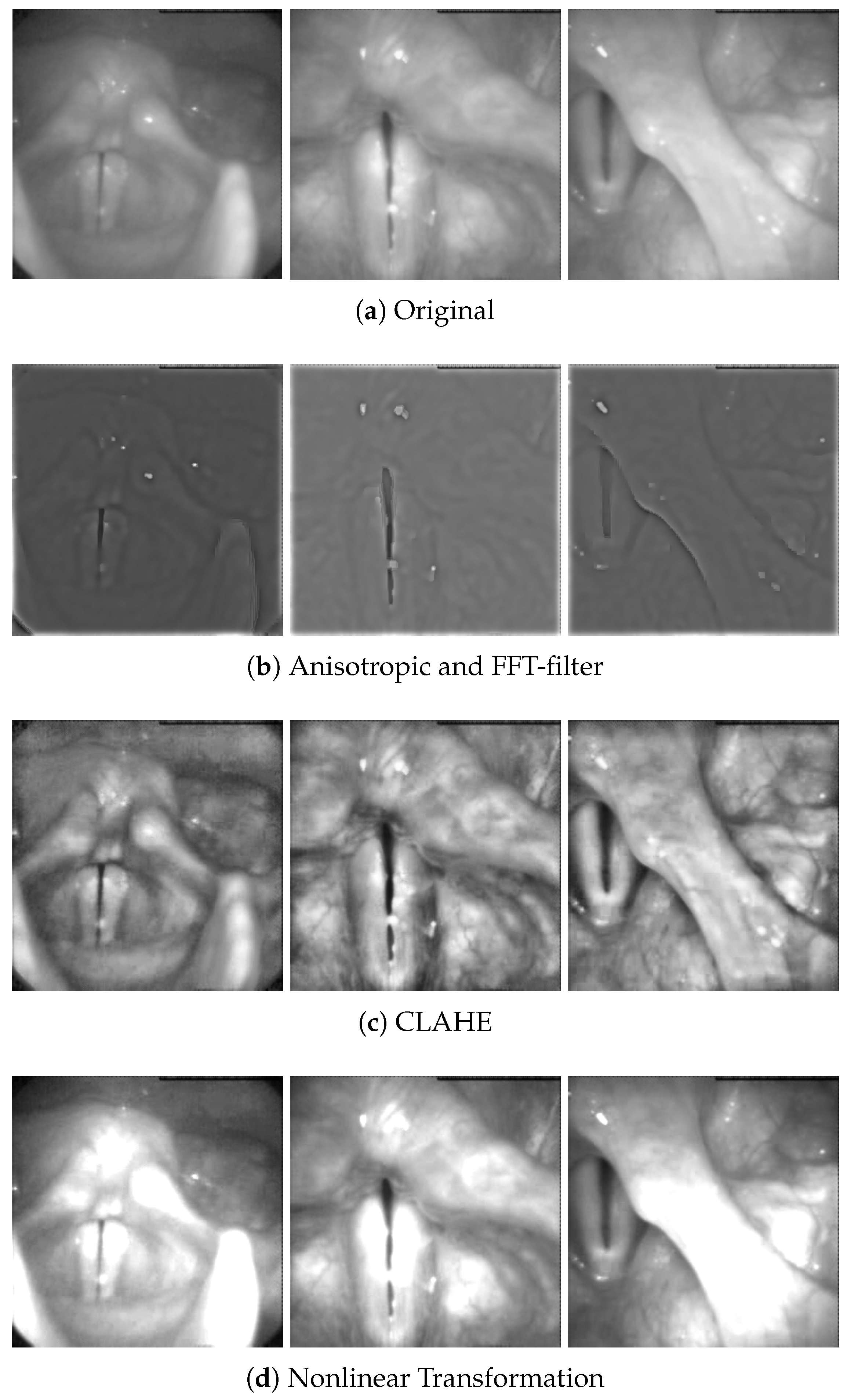 Applsci 10 01556 g007 Applsci 10 01556 g007