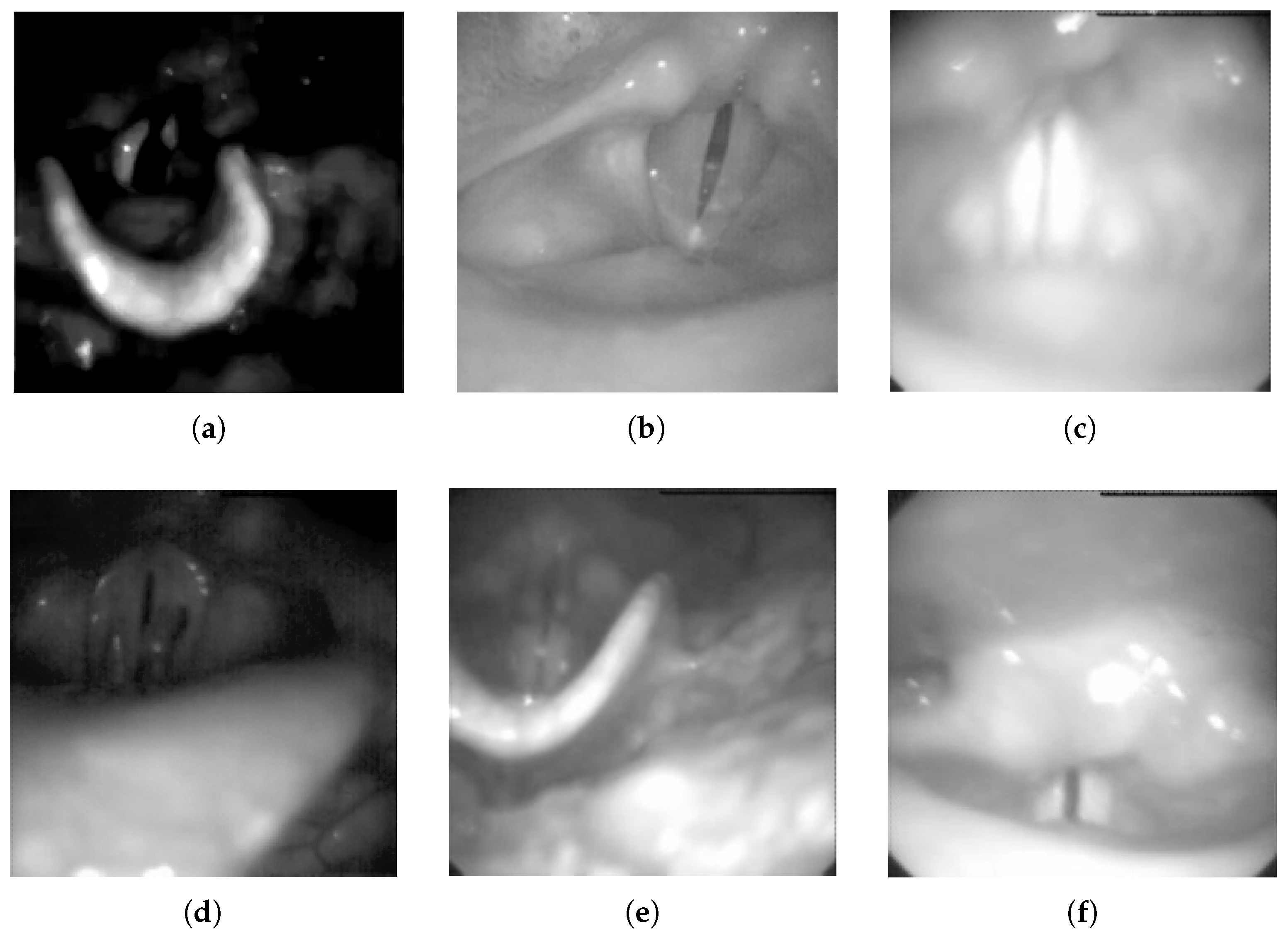 Applsci 10 01556 g015 Applsci 10 01556 g015