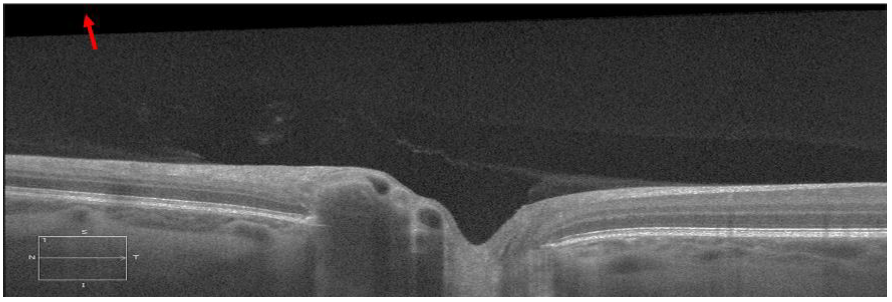 Applsci 10 01559 g004 Applsci 10 01559 g004