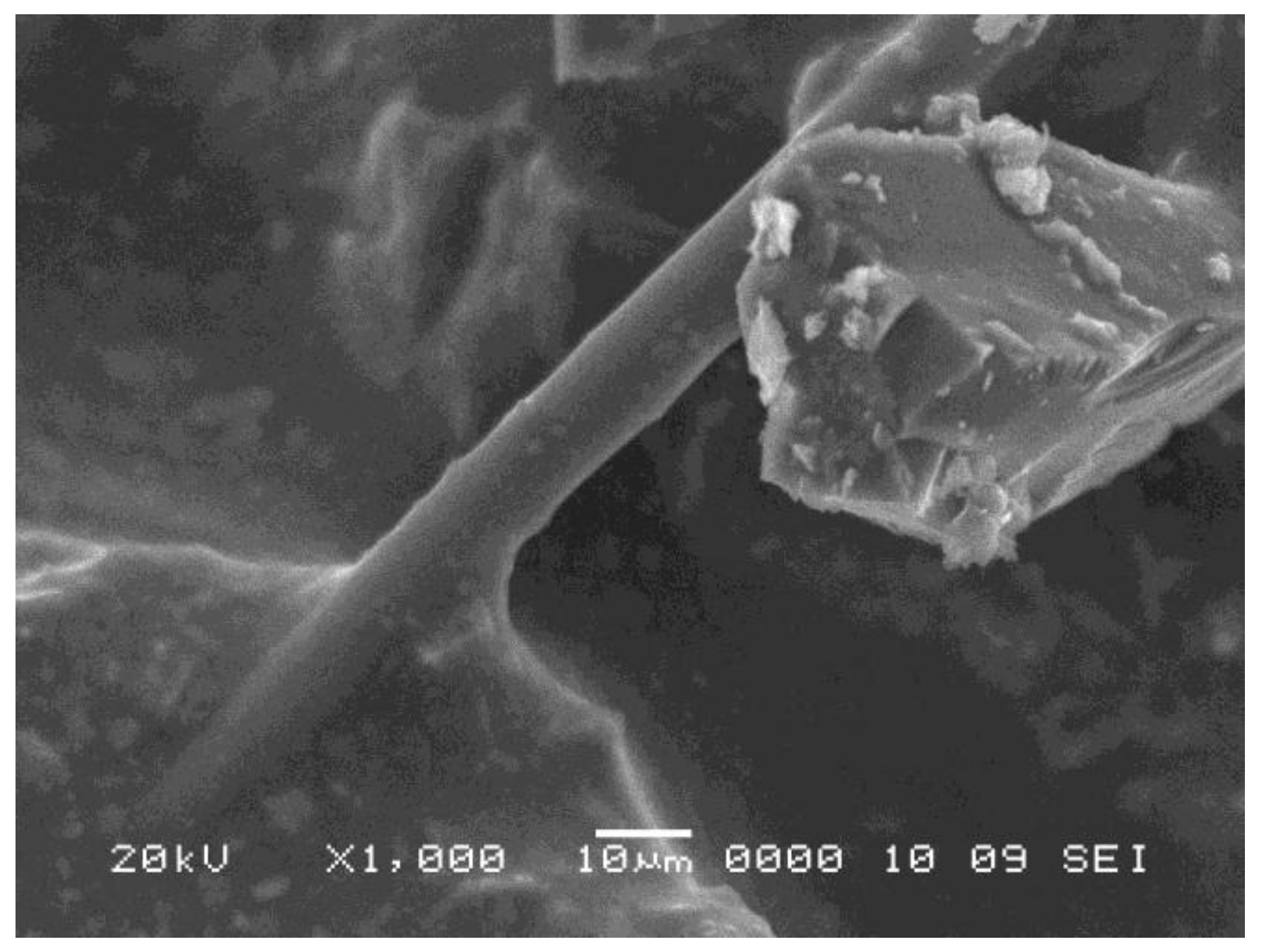 Applsci 10 01561 g006 Applsci 10 01561 g006