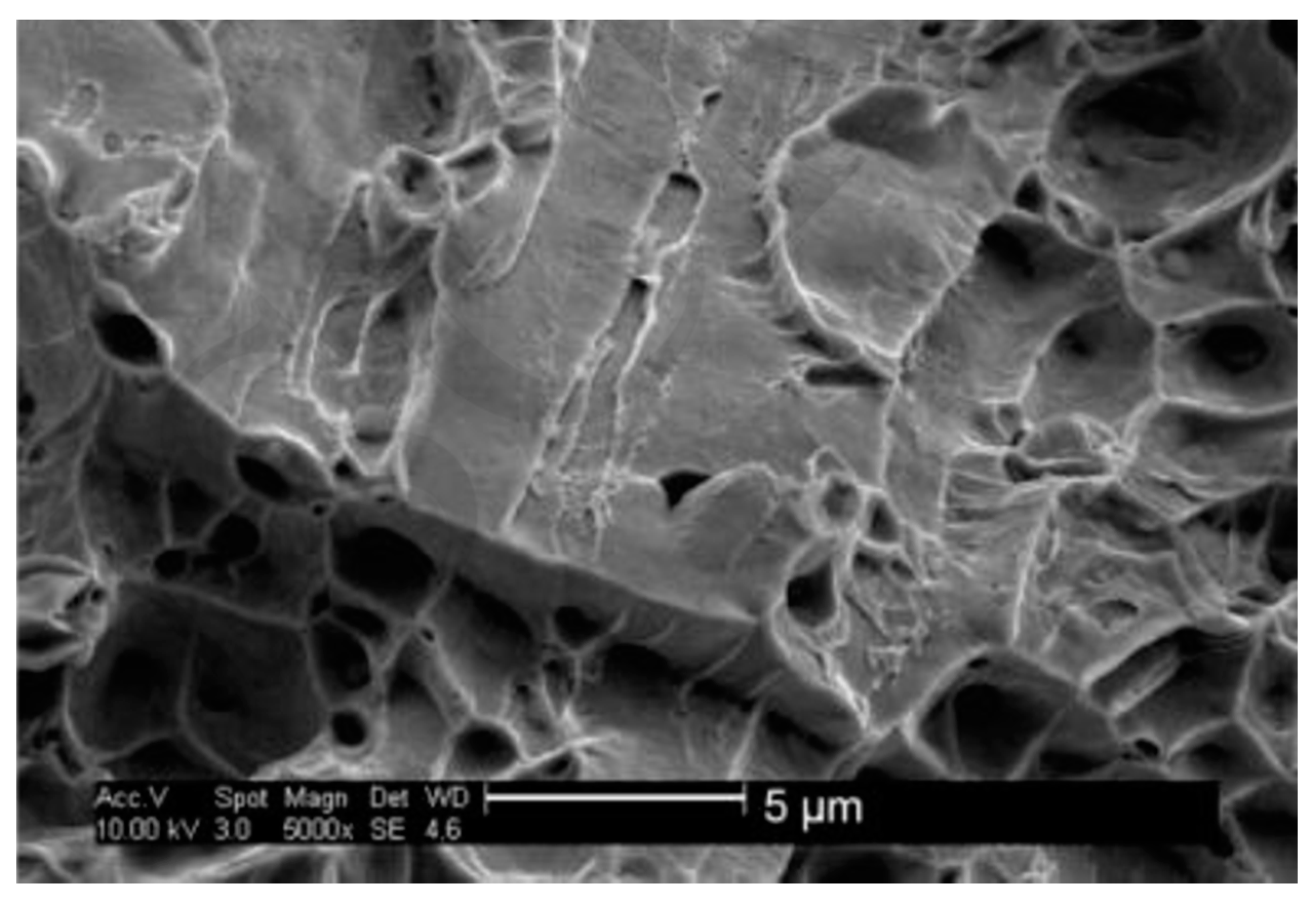 Applsci 10 01563 g016