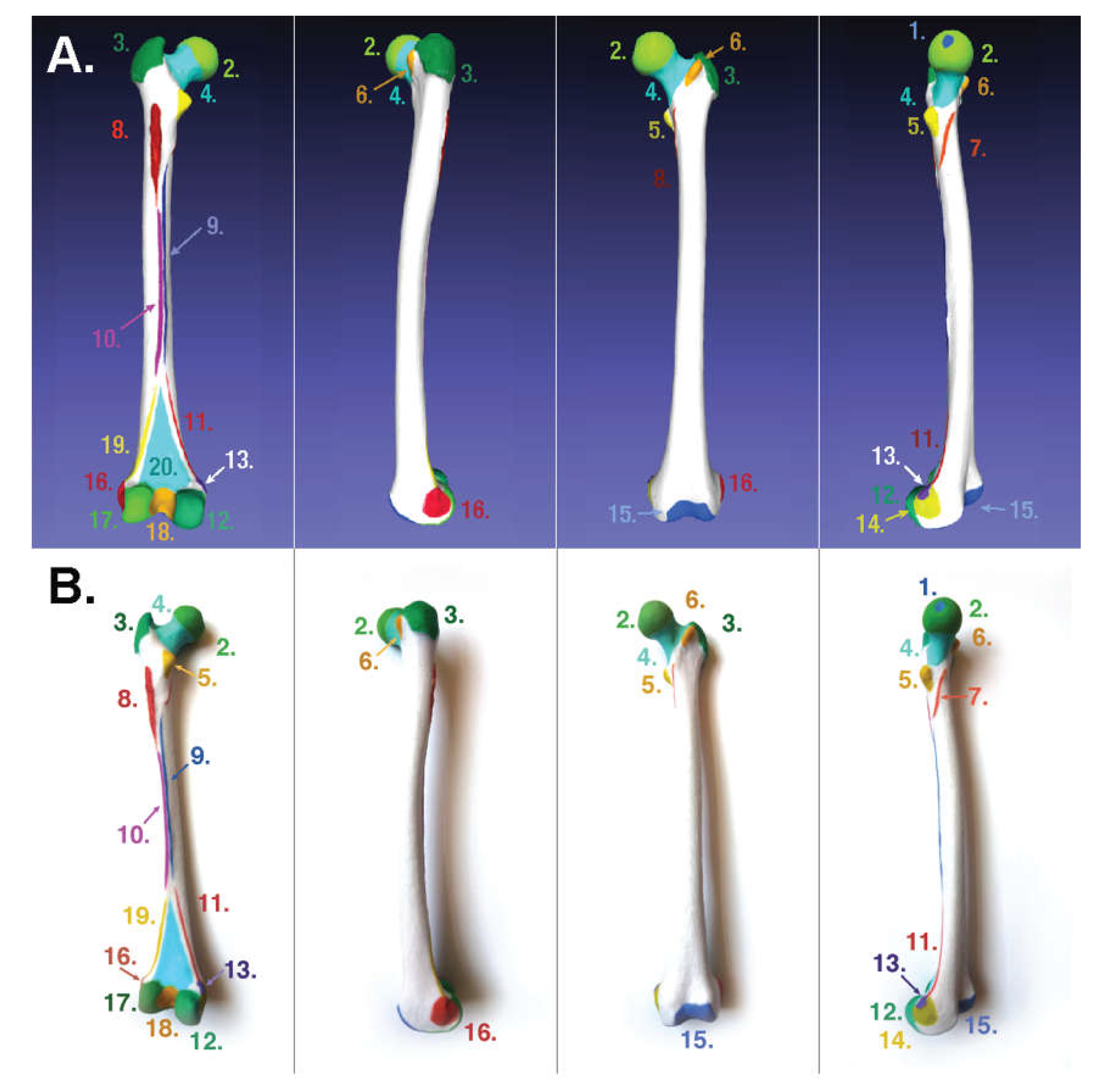Applsci 10 01571 g003