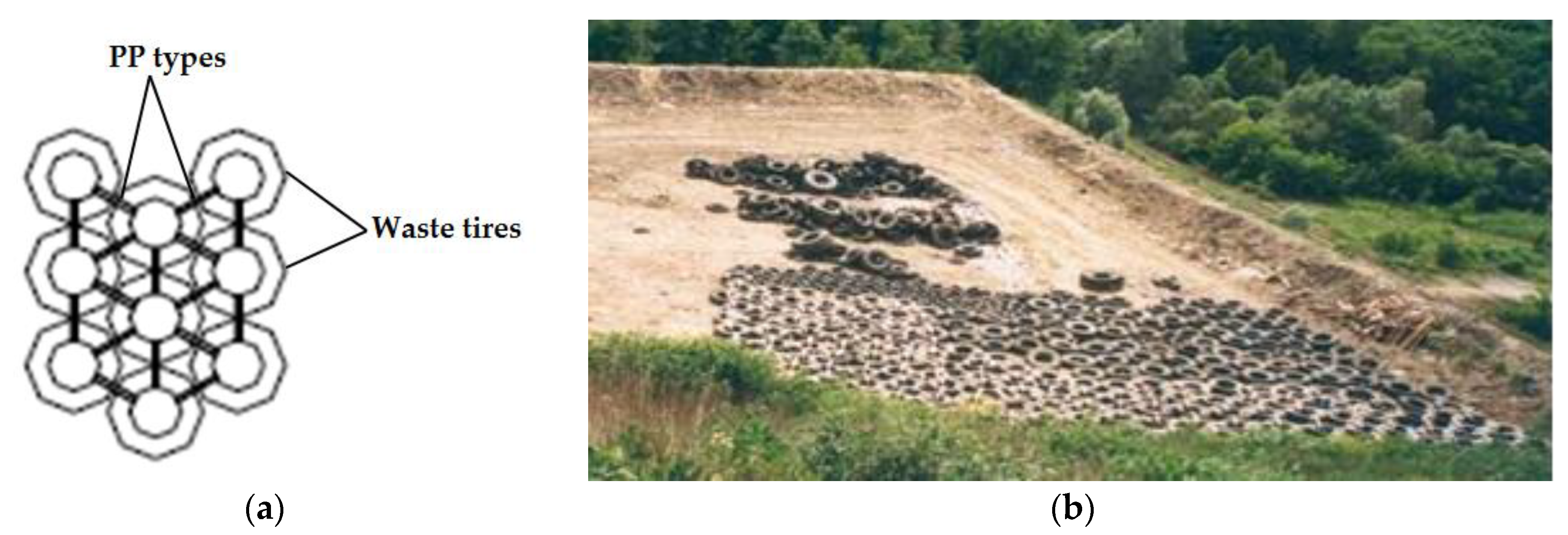 Applsci 10 01572 g003 Applsci 10 01572 g003