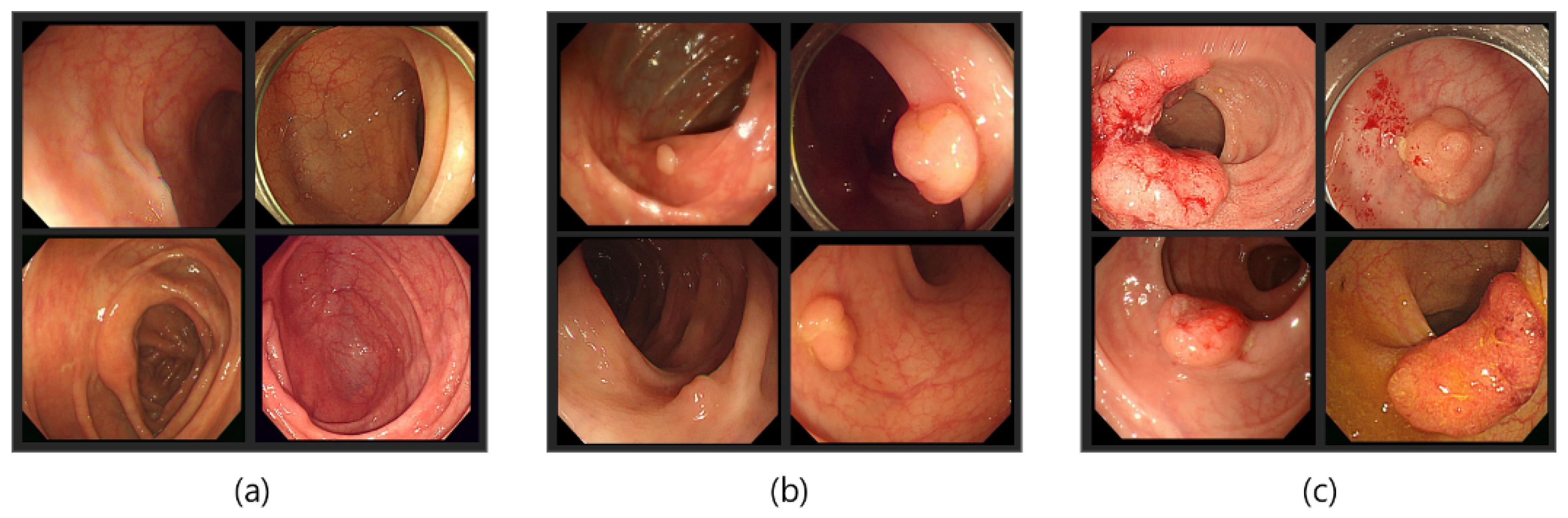 Applsci 10 01650 g007