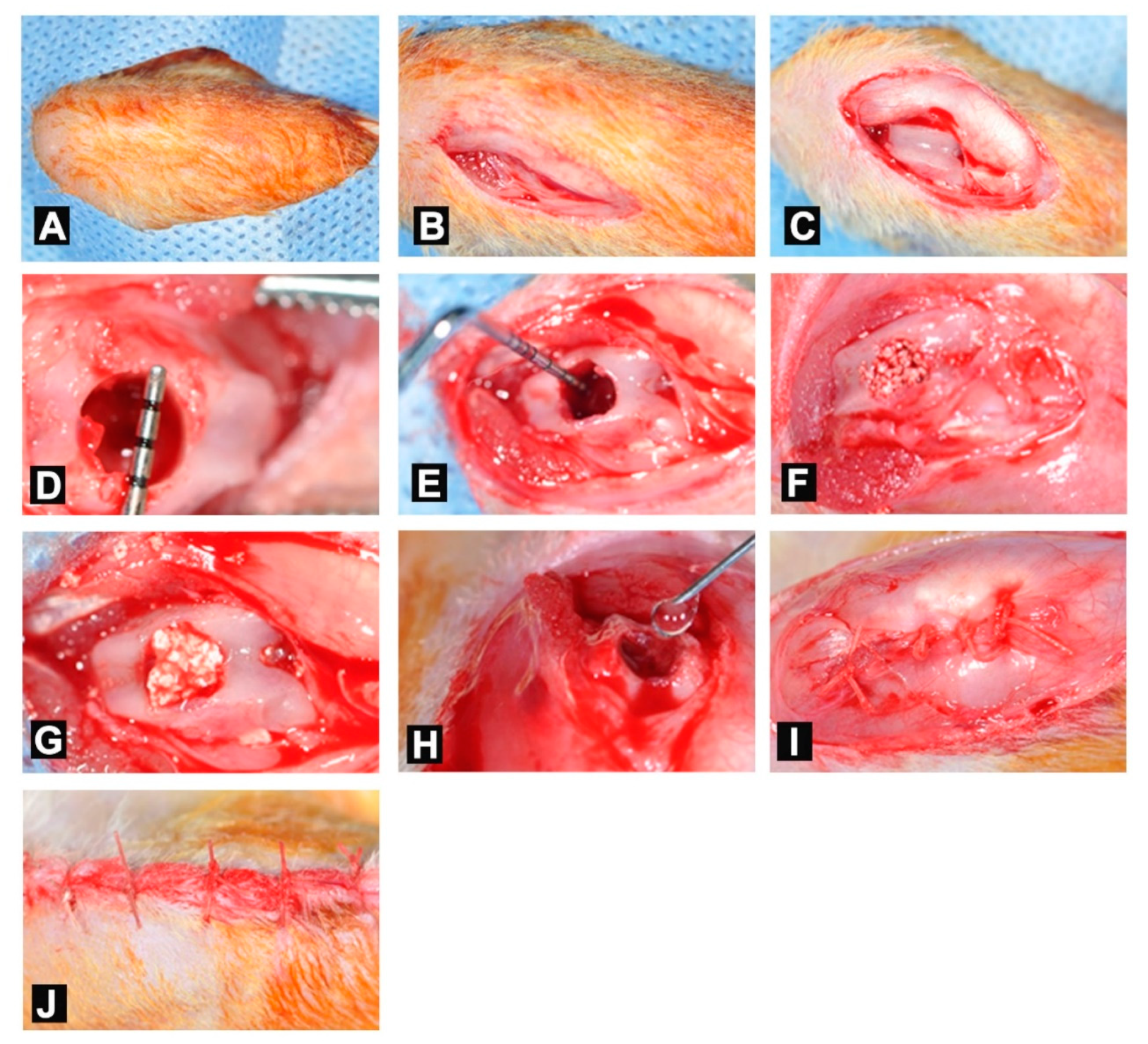 Applsci 10 01651 g001 Applsci 10 01651 g001