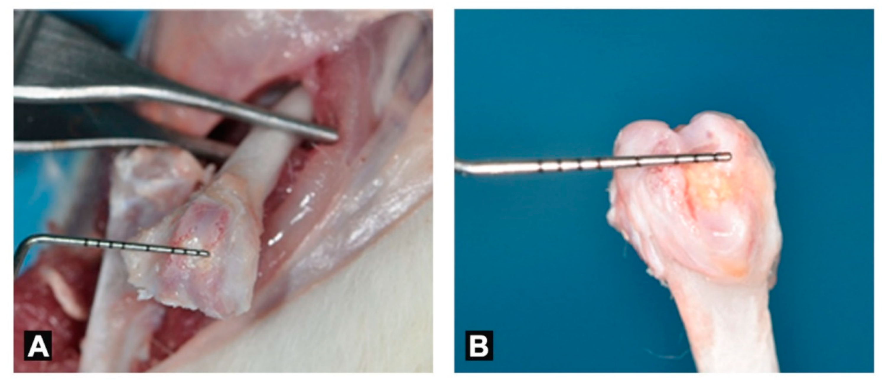 Applsci 10 01651 g002 Applsci 10 01651 g002