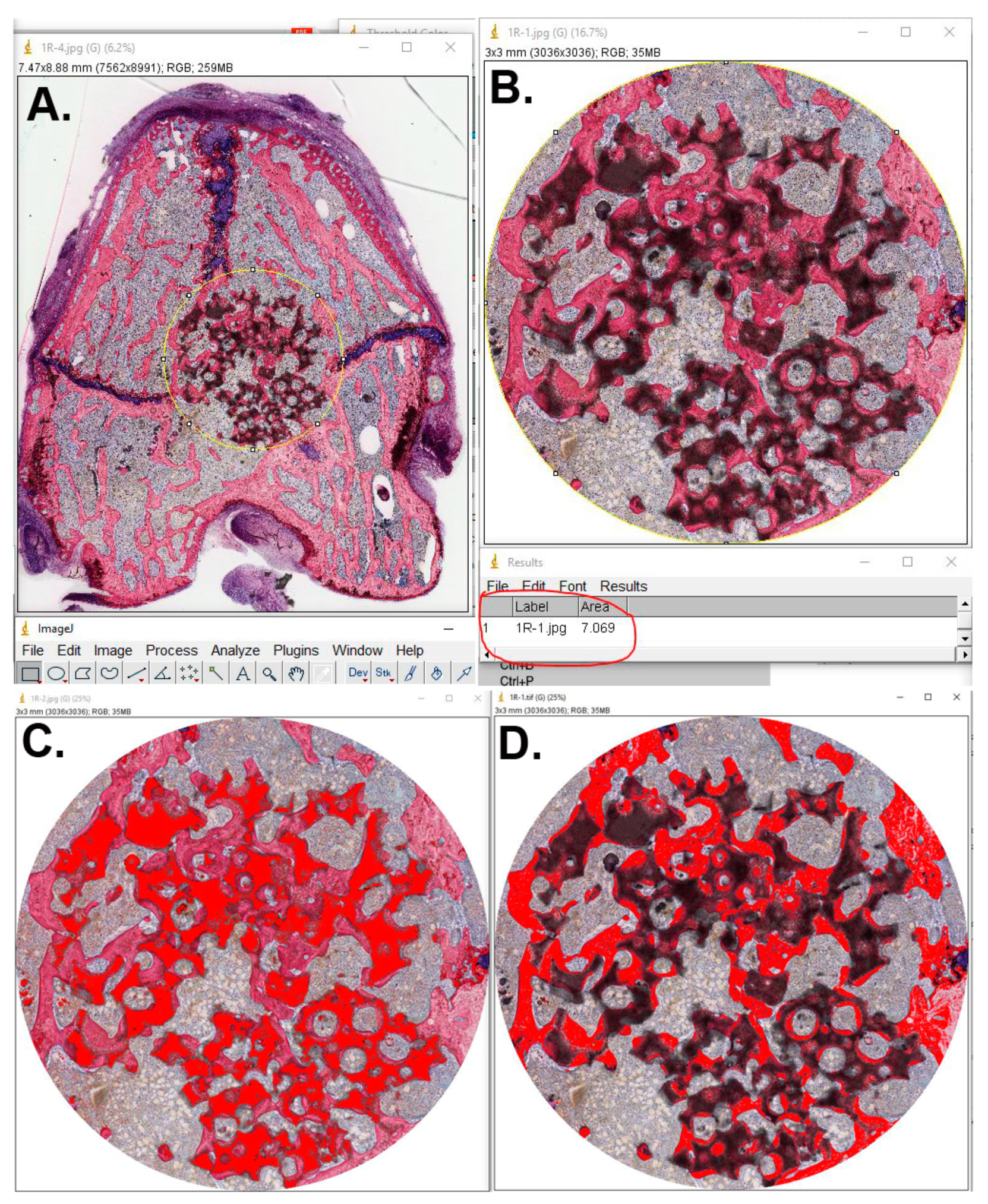 Applsci 10 01651 g003 Applsci 10 01651 g003