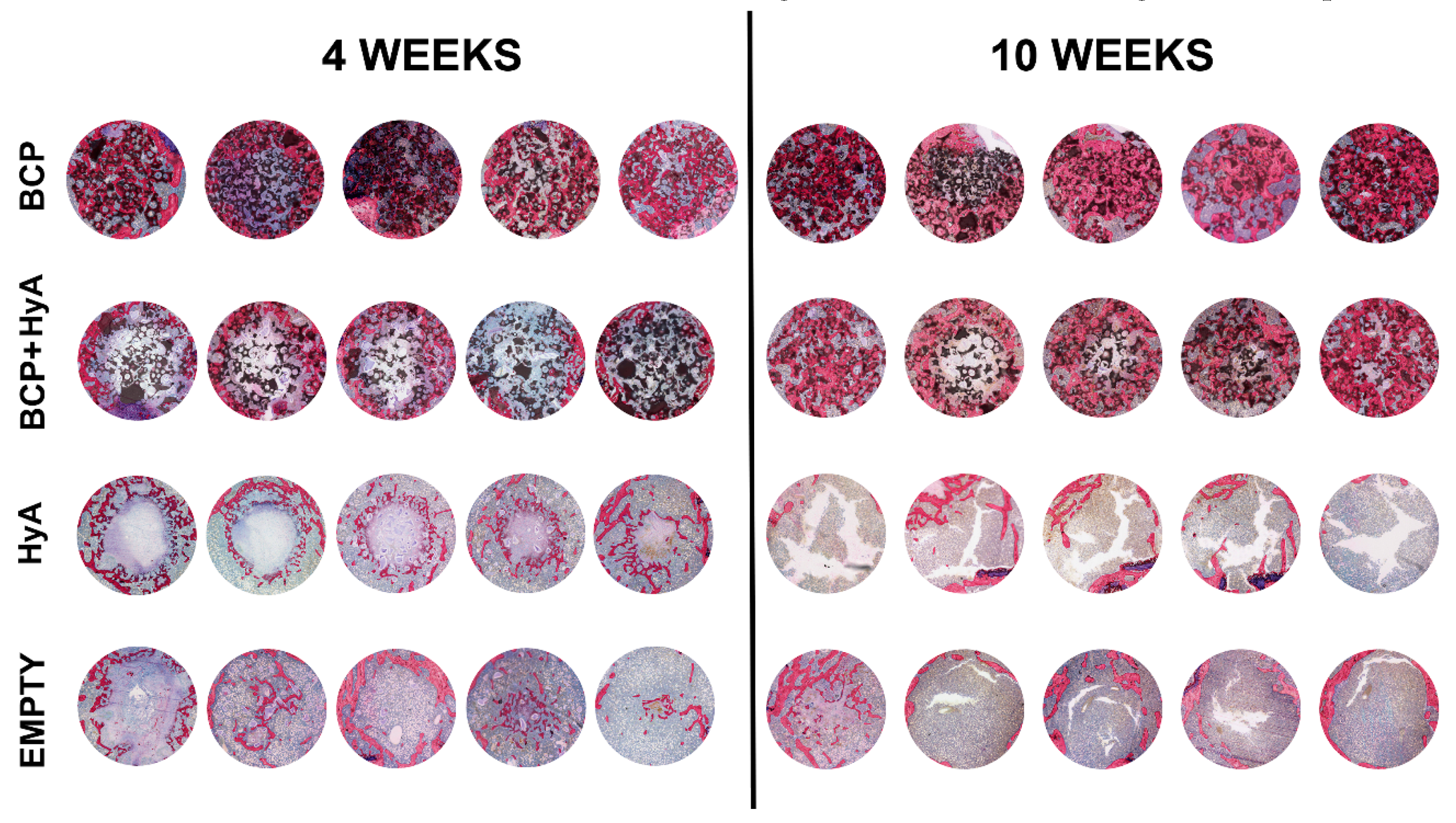 Applsci 10 01651 g004 Applsci 10 01651 g004