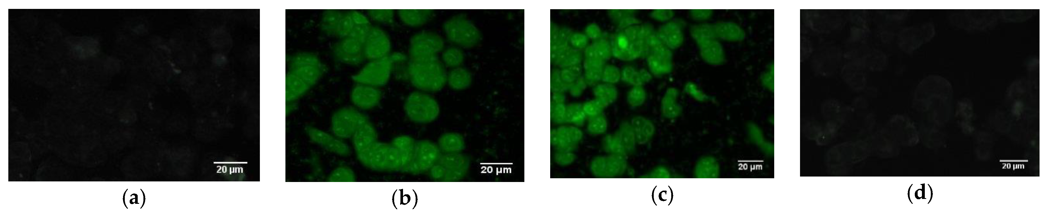 Applsci 10 01710 g005