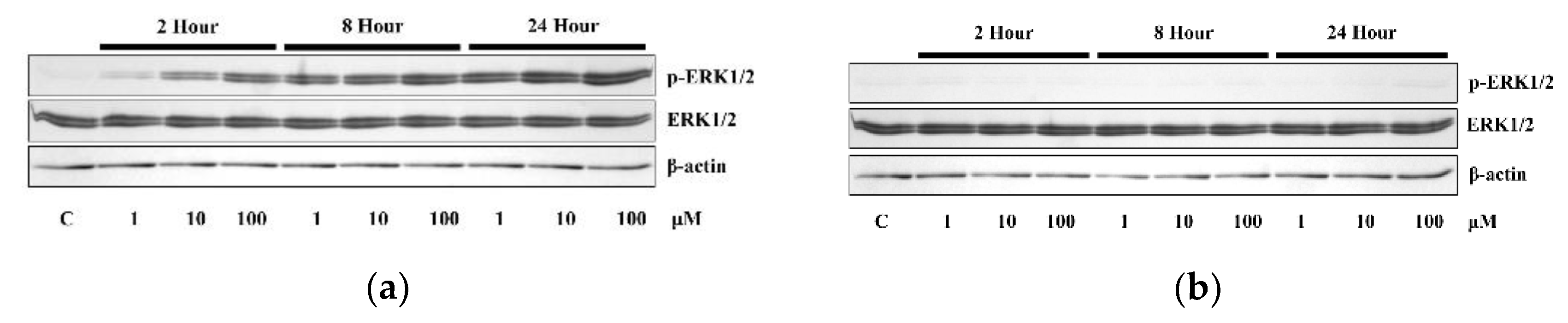 Applsci 10 01737 g003a Applsci 10 01737 g003a