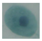 Applsci 10 01800 i009