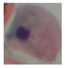 Applsci 10 01800 i041