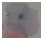 Applsci 10 01800 i046