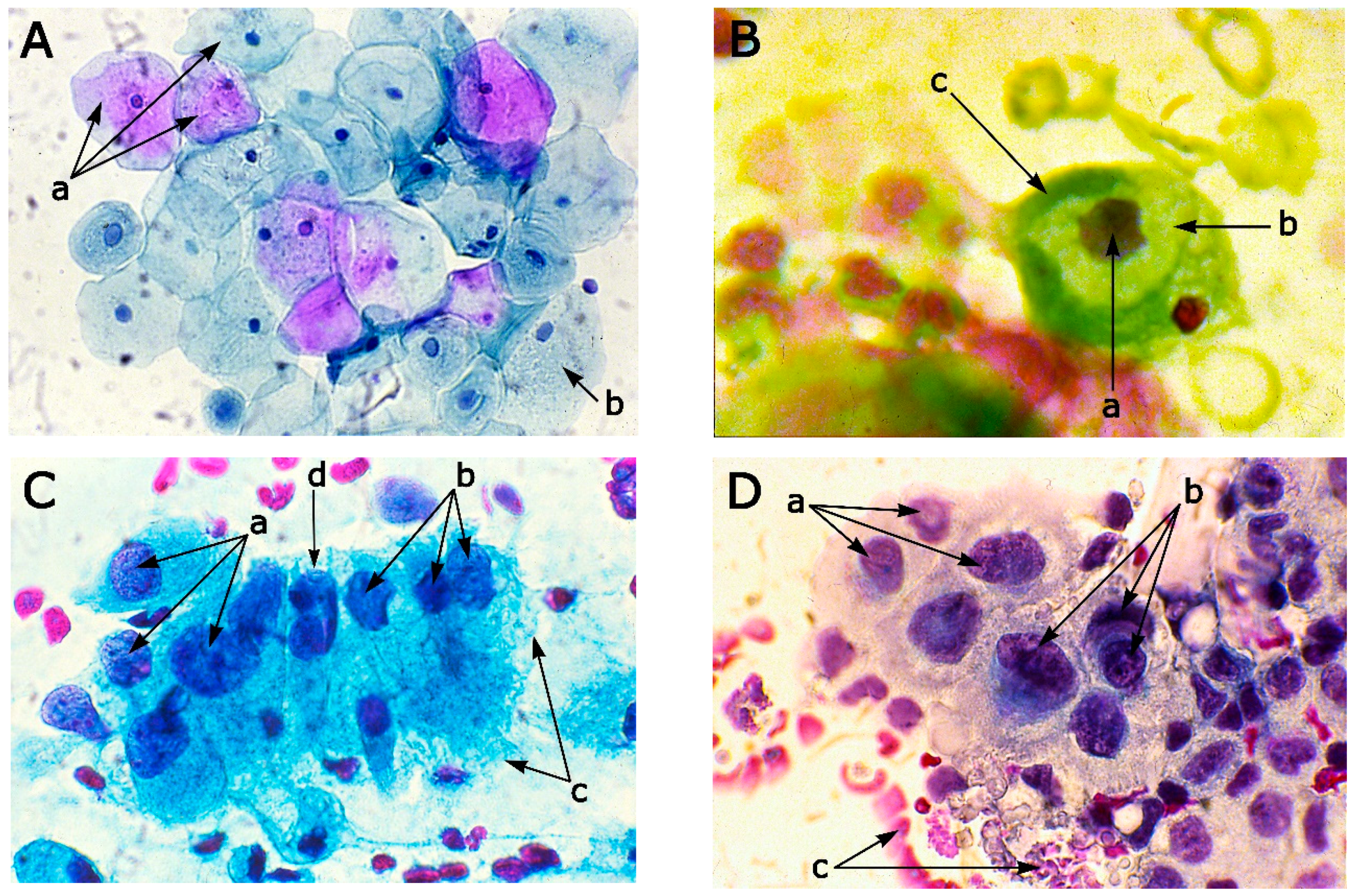 Applsci 10 01826 g003
