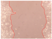 Applsci 10 01845 i003 Applsci 10 01845 i003