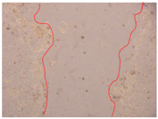 Applsci 10 01845 i008 Applsci 10 01845 i008