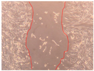 Applsci 10 01845 i012 Applsci 10 01845 i012