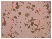 Applsci 10 01845 i017 Applsci 10 01845 i017