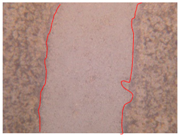 Applsci 10 01845 i027 Applsci 10 01845 i027