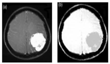 Applsci 10 01894 i011 Applsci 10 01894 i011