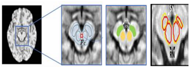 Applsci 10 01894 i019 Applsci 10 01894 i019