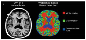 Applsci 10 01894 i021 Applsci 10 01894 i021