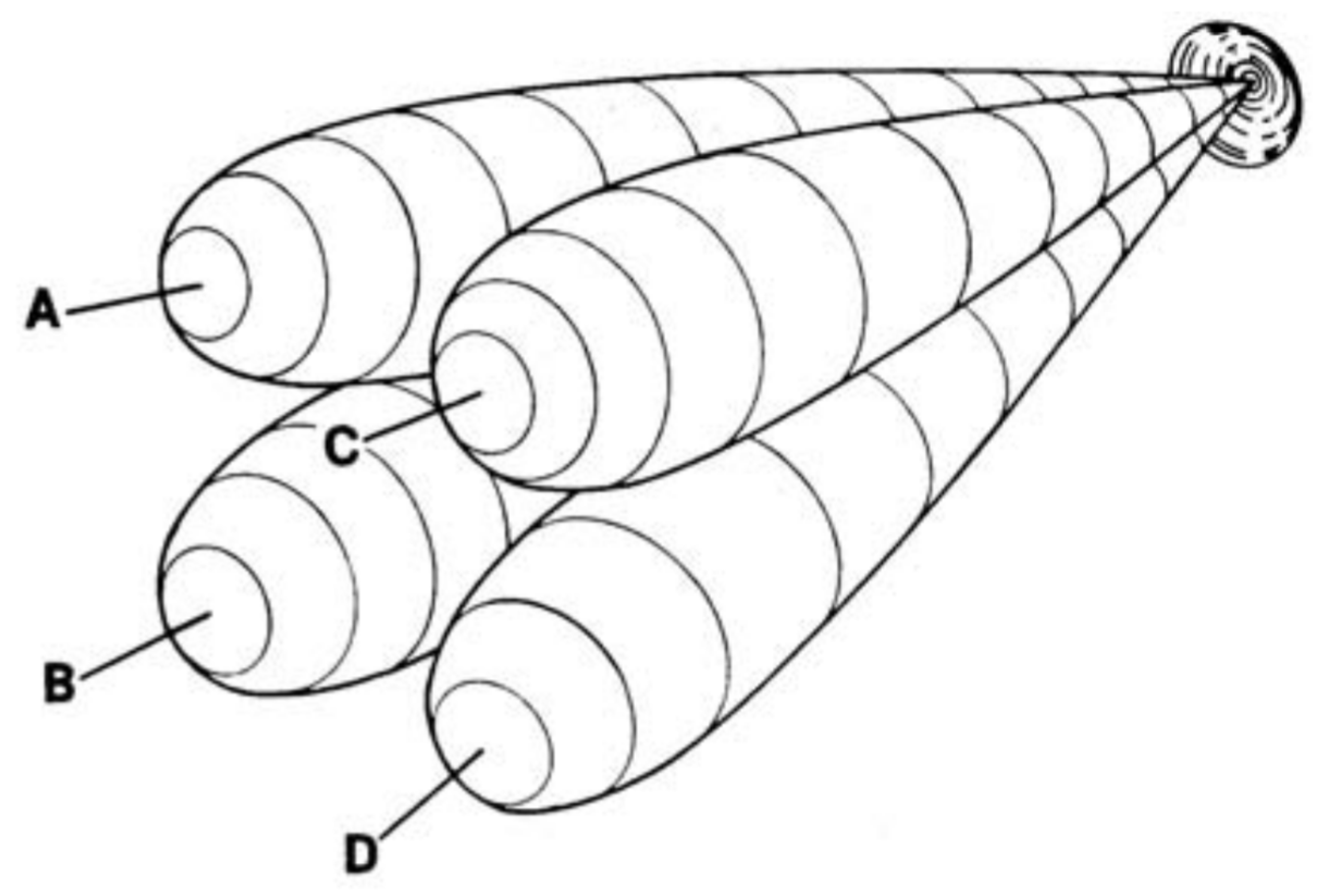 Applsci 10 01914 g002 550