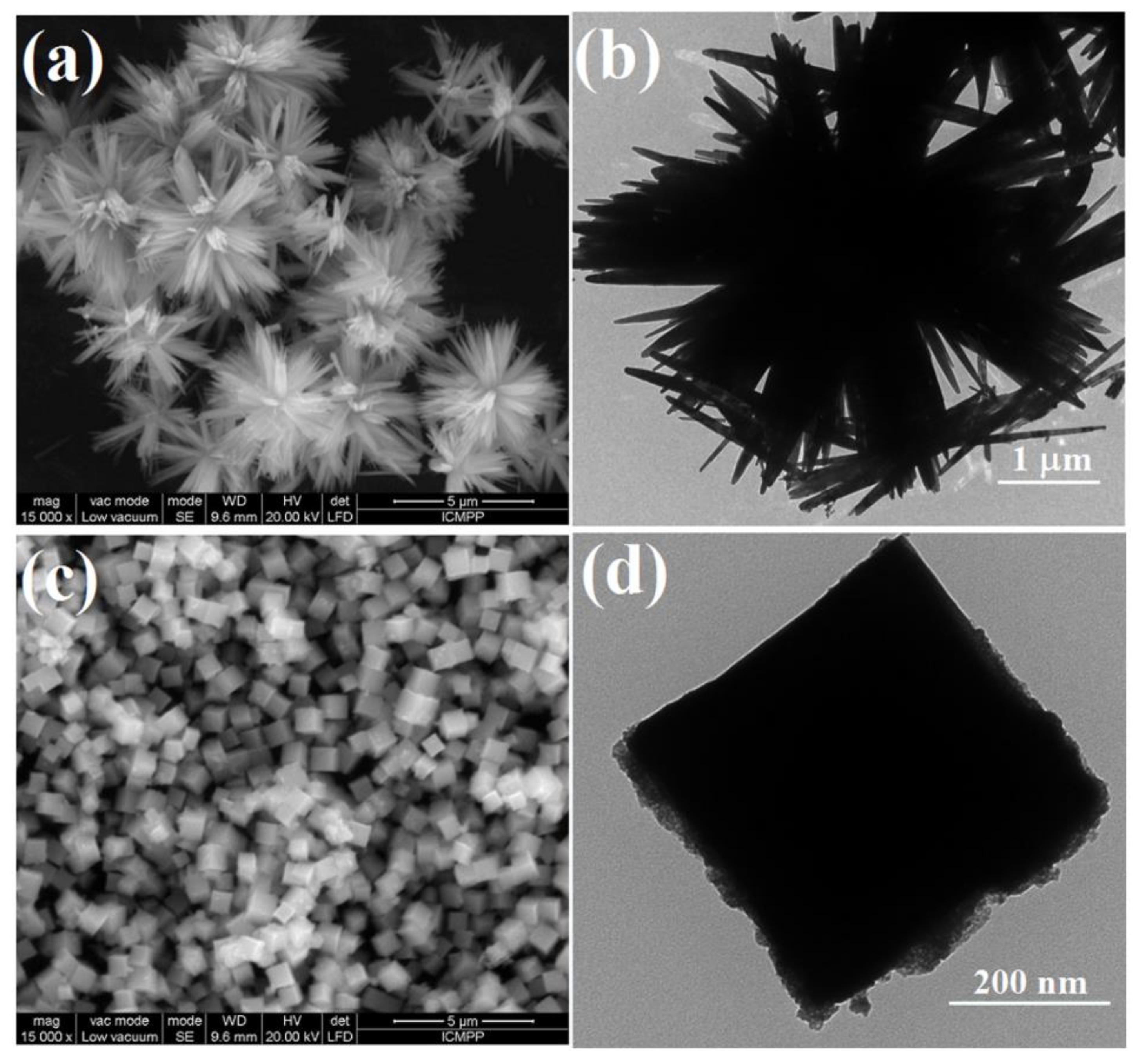Applsci 10 01954 g003