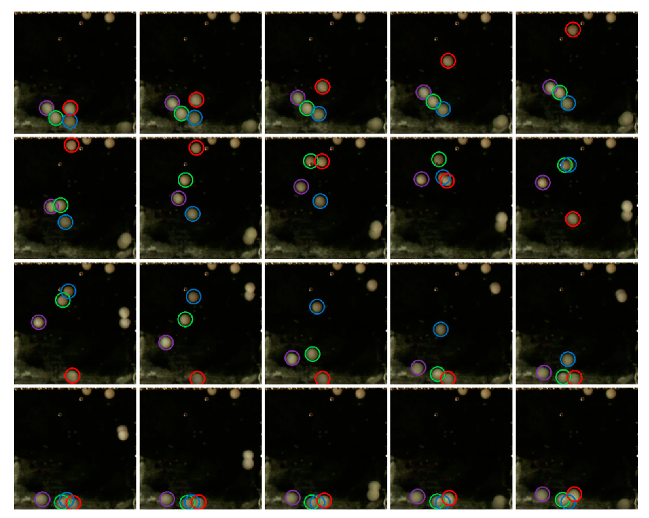 Applsci 10 02016 g012 Applsci 10 02016 g012