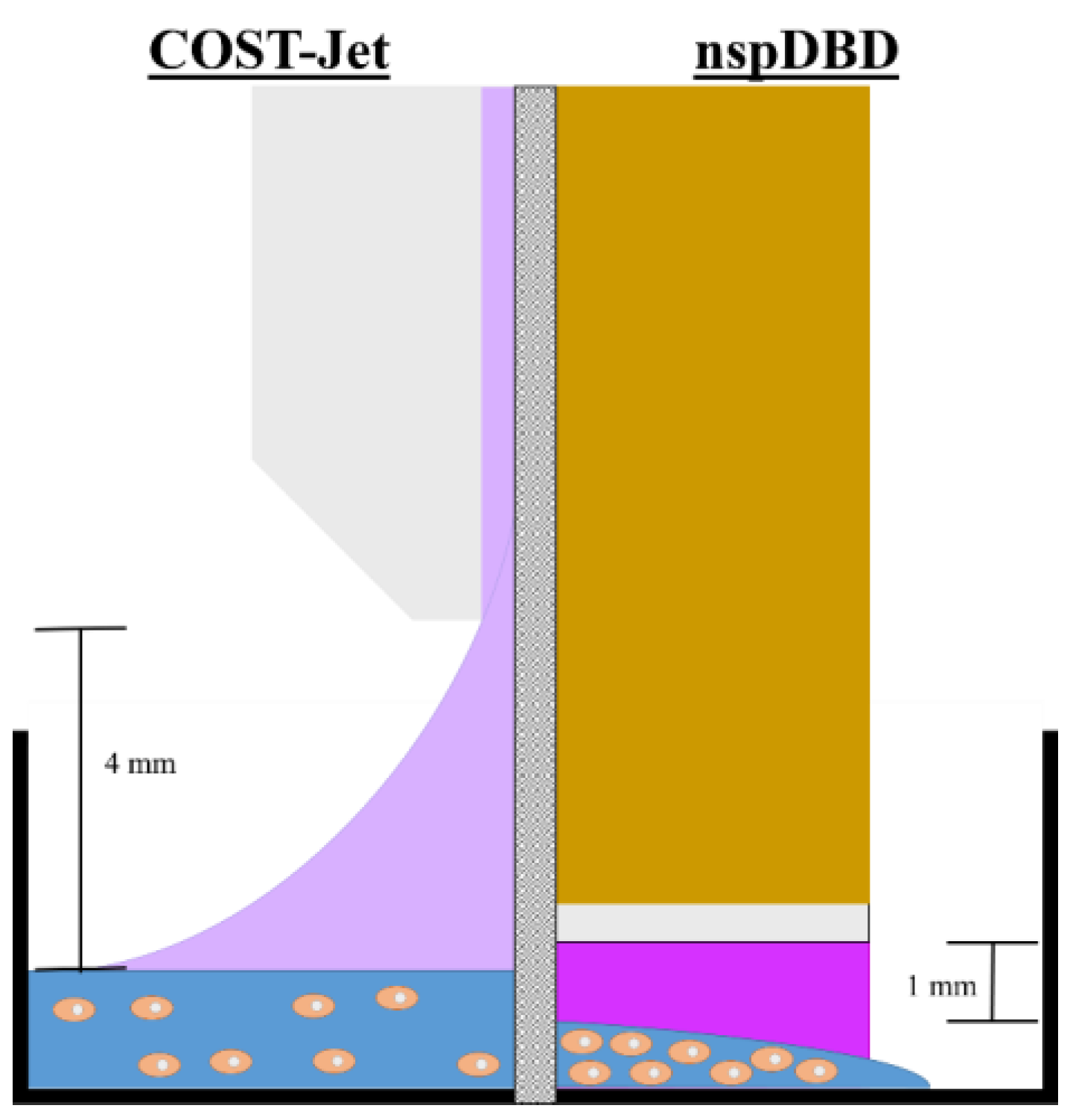 Applsci 10 02025 g001