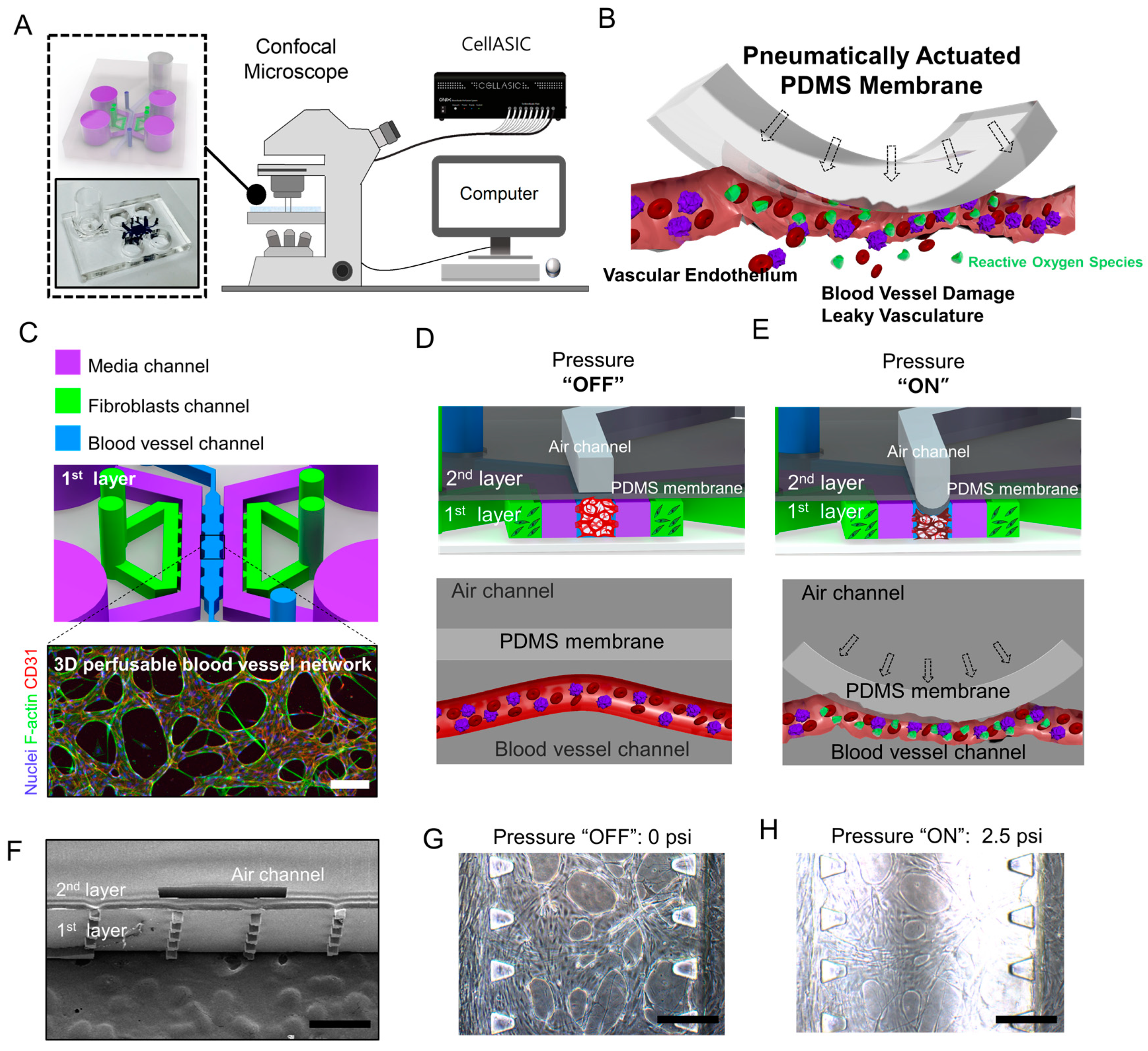 Applsci 10 02027 g001 Applsci 10 02027 g001